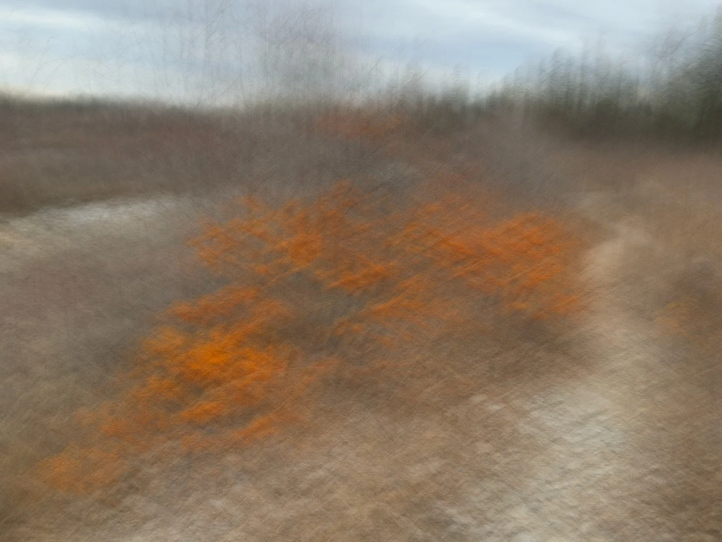 When the path ahead isn&rsquo;t straightforward or clear.  Sometimes you just have to follow your instincts.  #icm #icmphotography #pathways