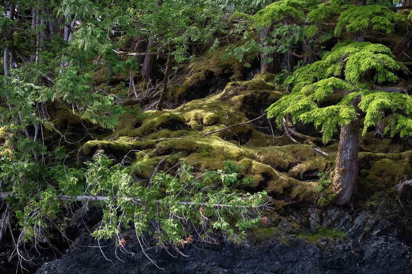 This week&rsquo;s blog post is all about directions, compasses, intuition a it&rsquo;s a bucketful- the link is in my bio.  #blogpost #blog #selfreflection #direction #sheclicksnet