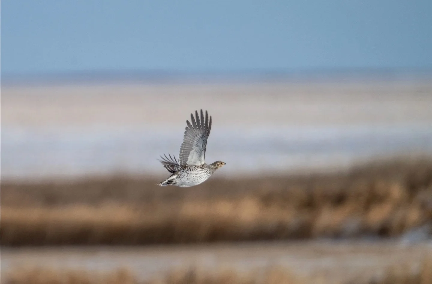 The last blog post of 2025 is now live - link is in my bio.  I want to thank everyone who has been following along and commenting or sending notes - I really appreciate hearing from you and learning and growing from your experiences and suggested rea