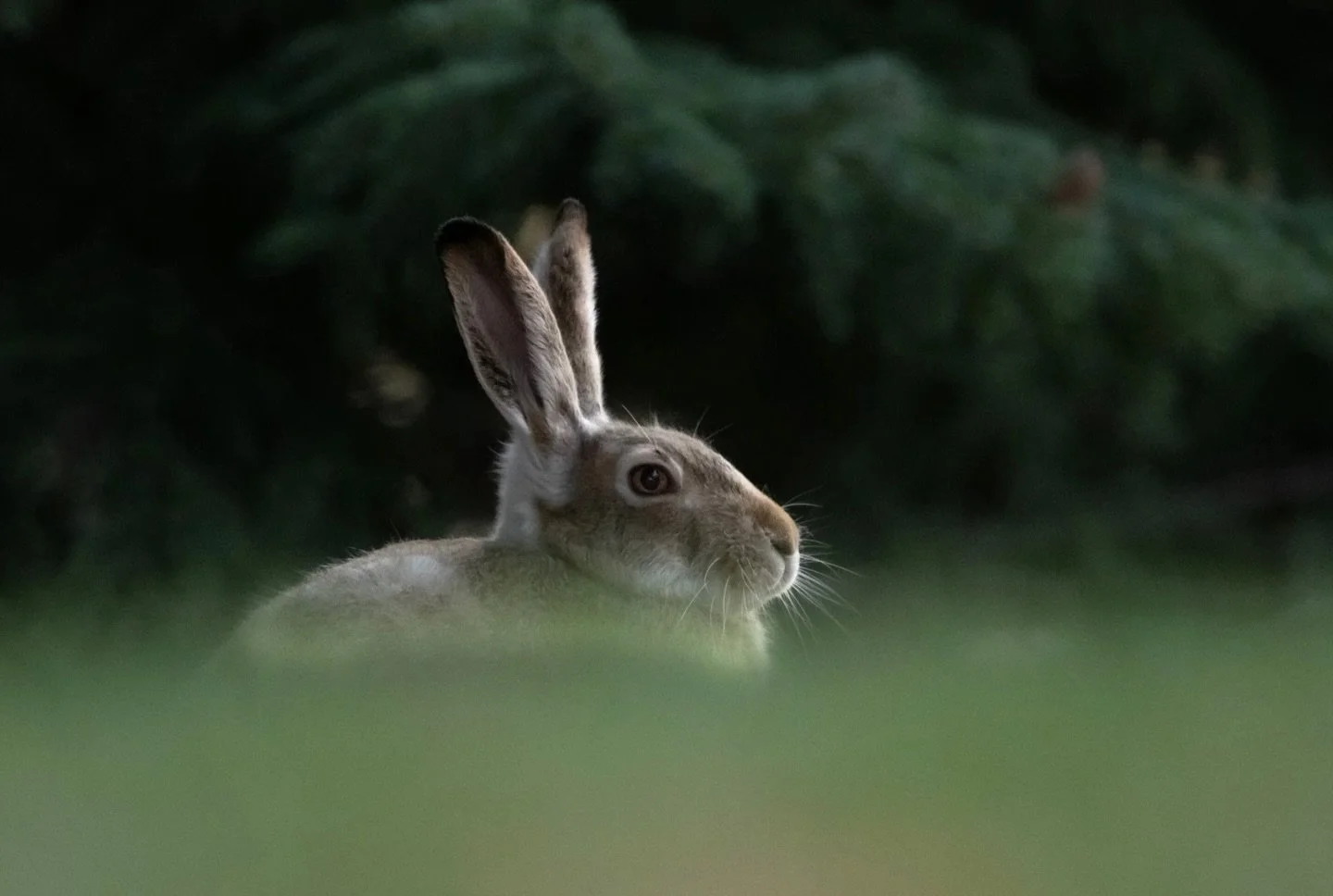 This week&rsquo;s blog post is live with some musings on Deep Work- the link is in my bio.  #blogpost #calnewportdeepwork #sheclicksnet