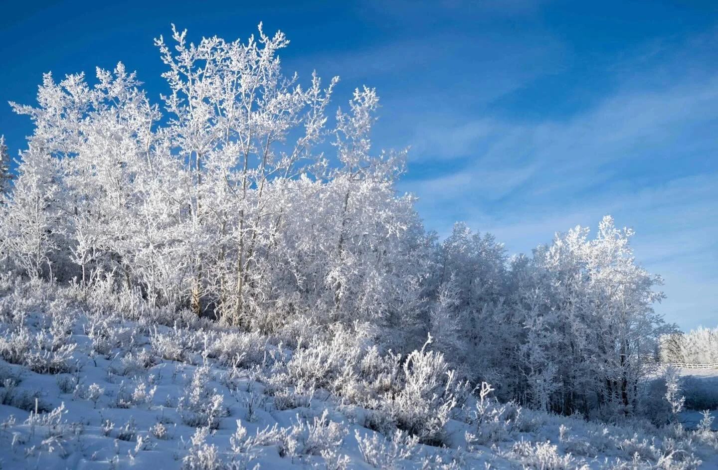 It&rsquo;s hard to believe that this is how the landscape looked a few weeks ago - with all of our warm weather the snow has melted and everything is brown - there is a different beauty to it now.  This week&rsquo;s blog post is a bit late, but live 