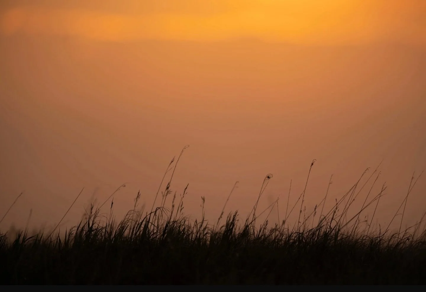 Our senses are how we experience the world around us and this week&rsquo;s blog post delves into this topic more deeply - click on the link in the bio to read more.  #blog #blogpost #sensoryoverload #sheclicksnet