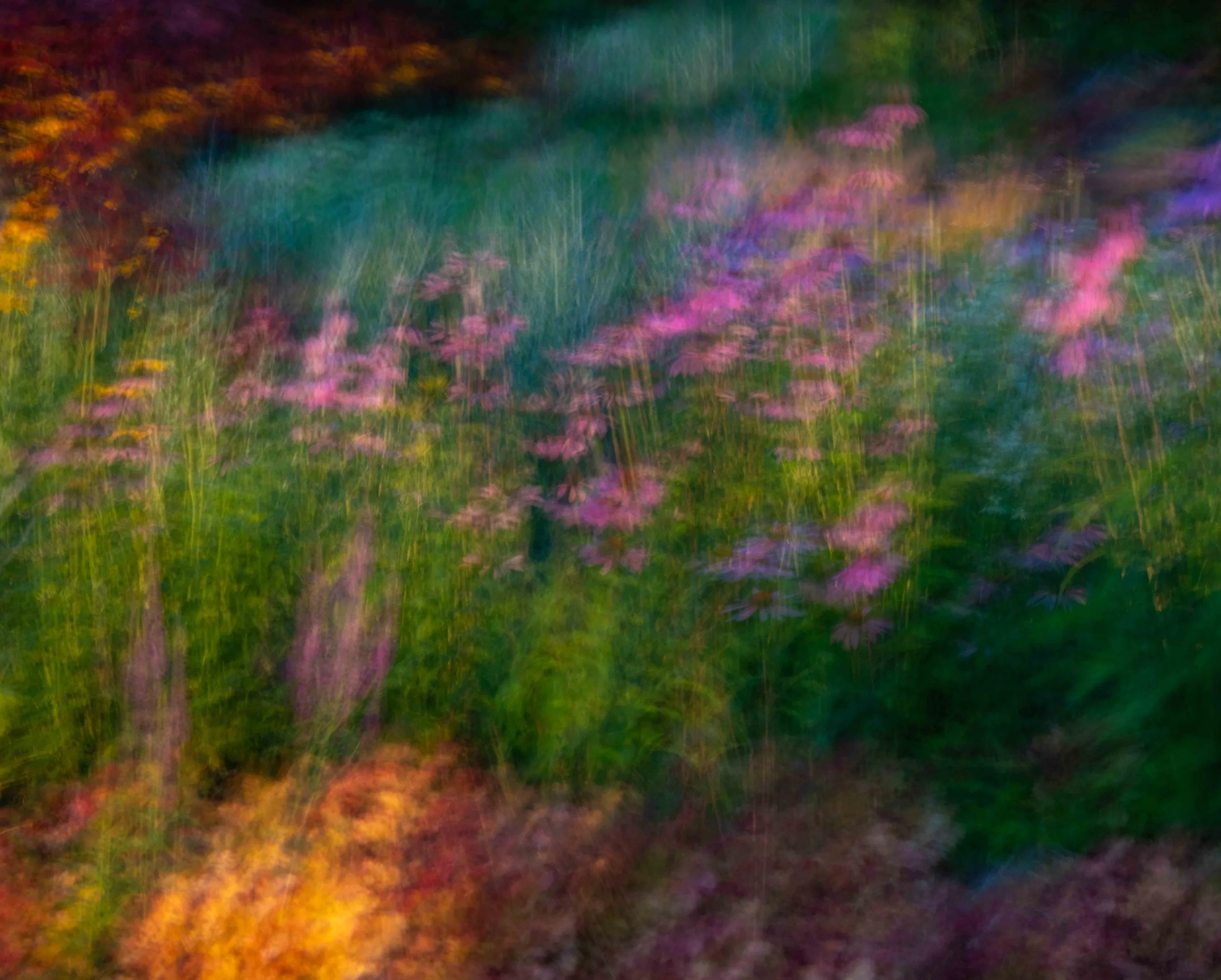 ICM image of perennial gardens at Kingsbrae