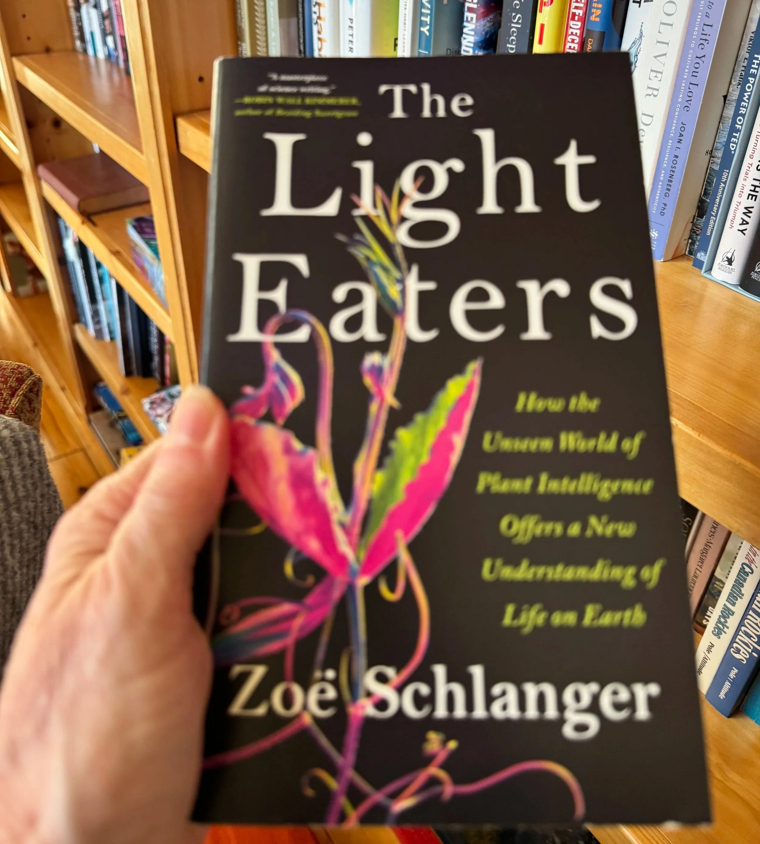 Cover of the book titled 'The Light Eaters"