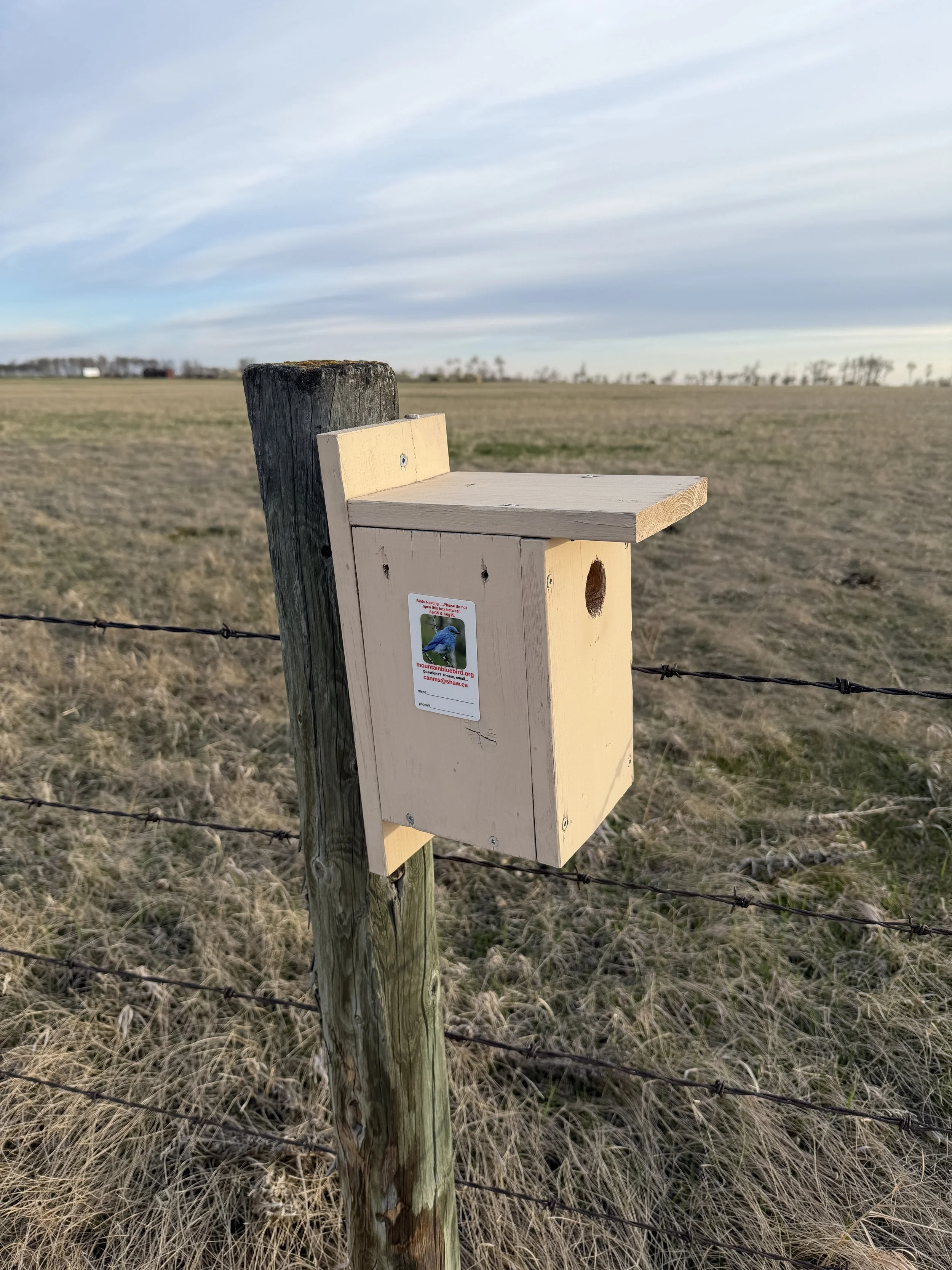 nestbox with CANMS sticker attached