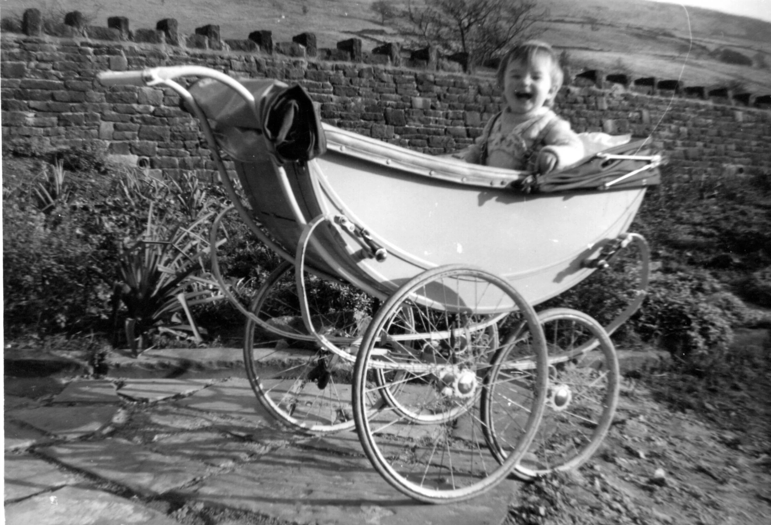 baby photo