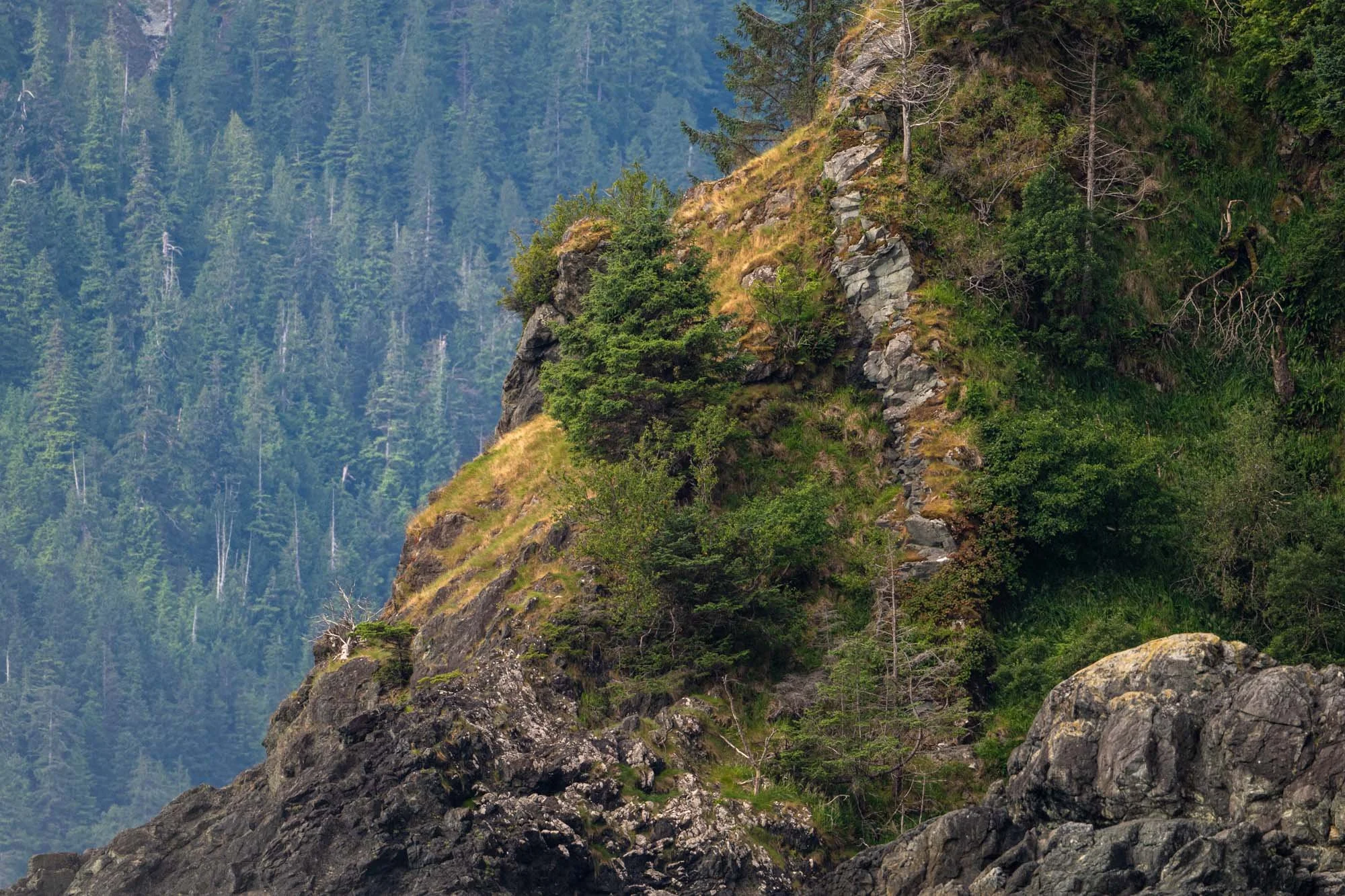 complex layers on a hillside with layers behind