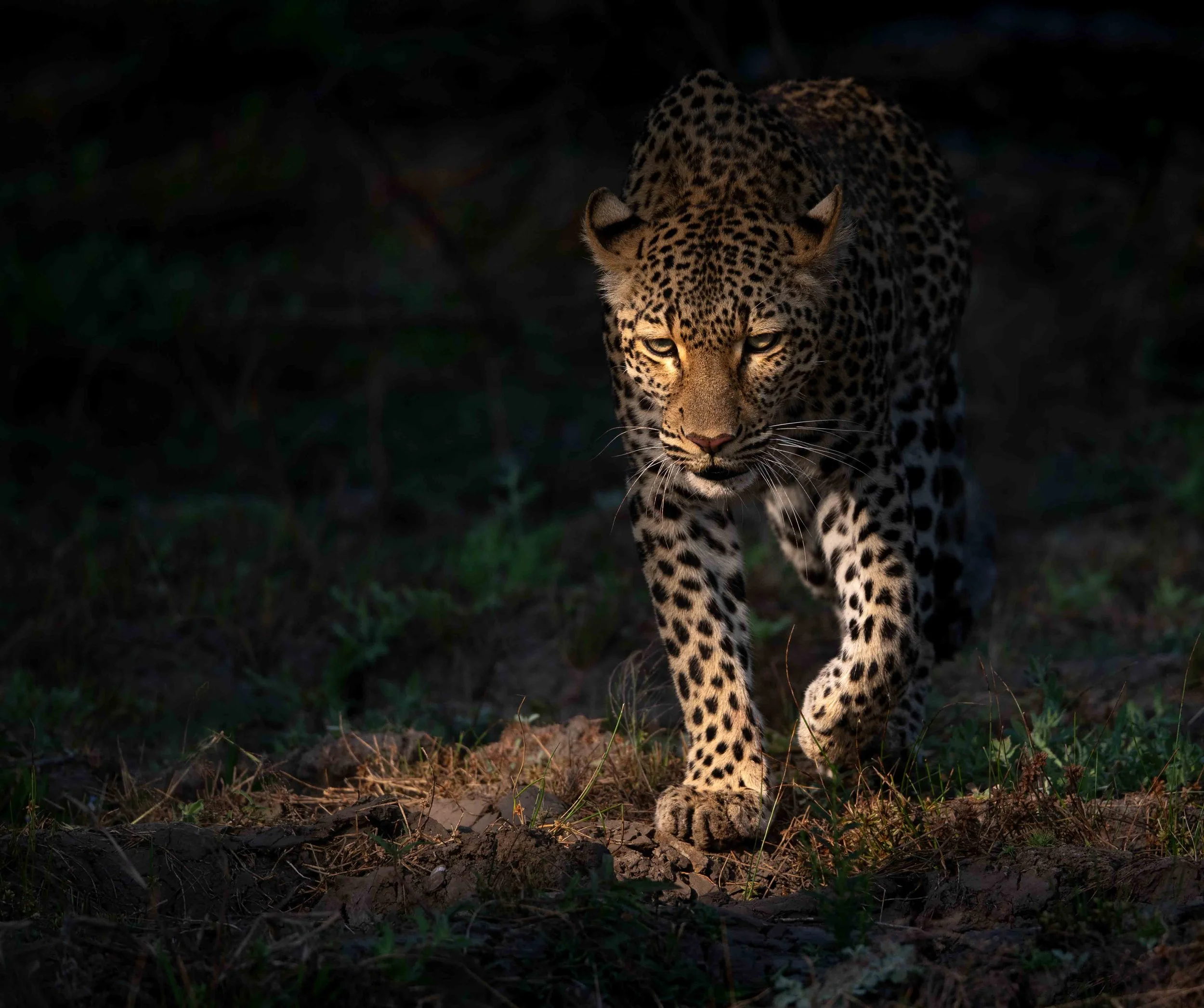Exploring the Lower Zambezi