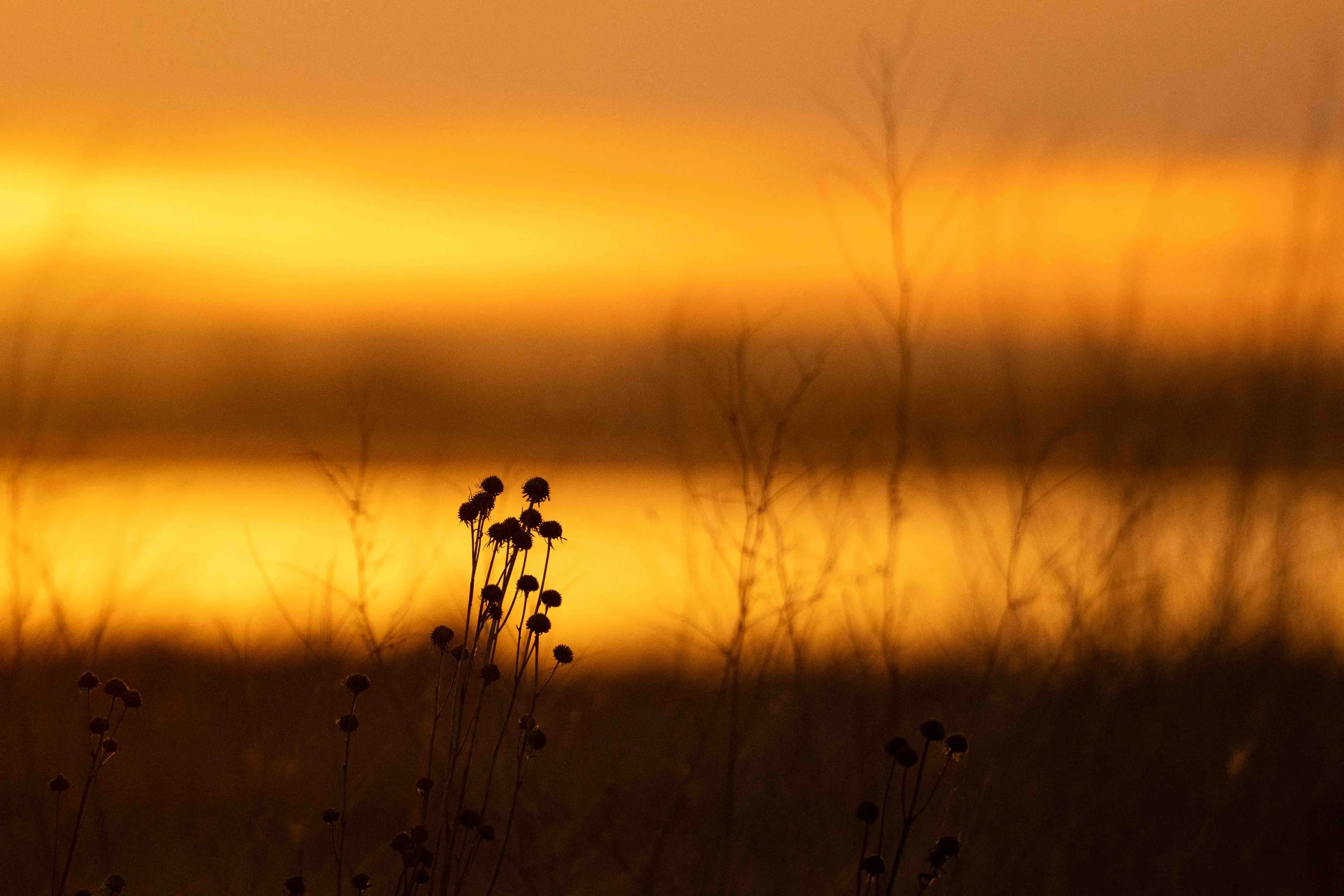 sunrise at Frank Lake.