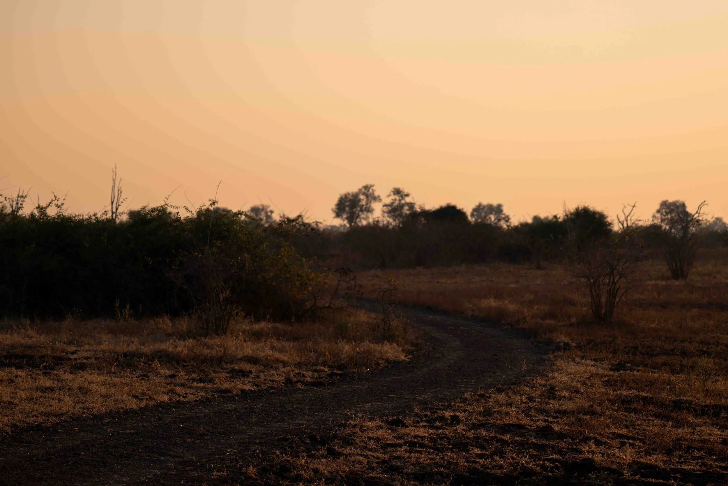 zambia - June 09 - IMG_00032.jpg