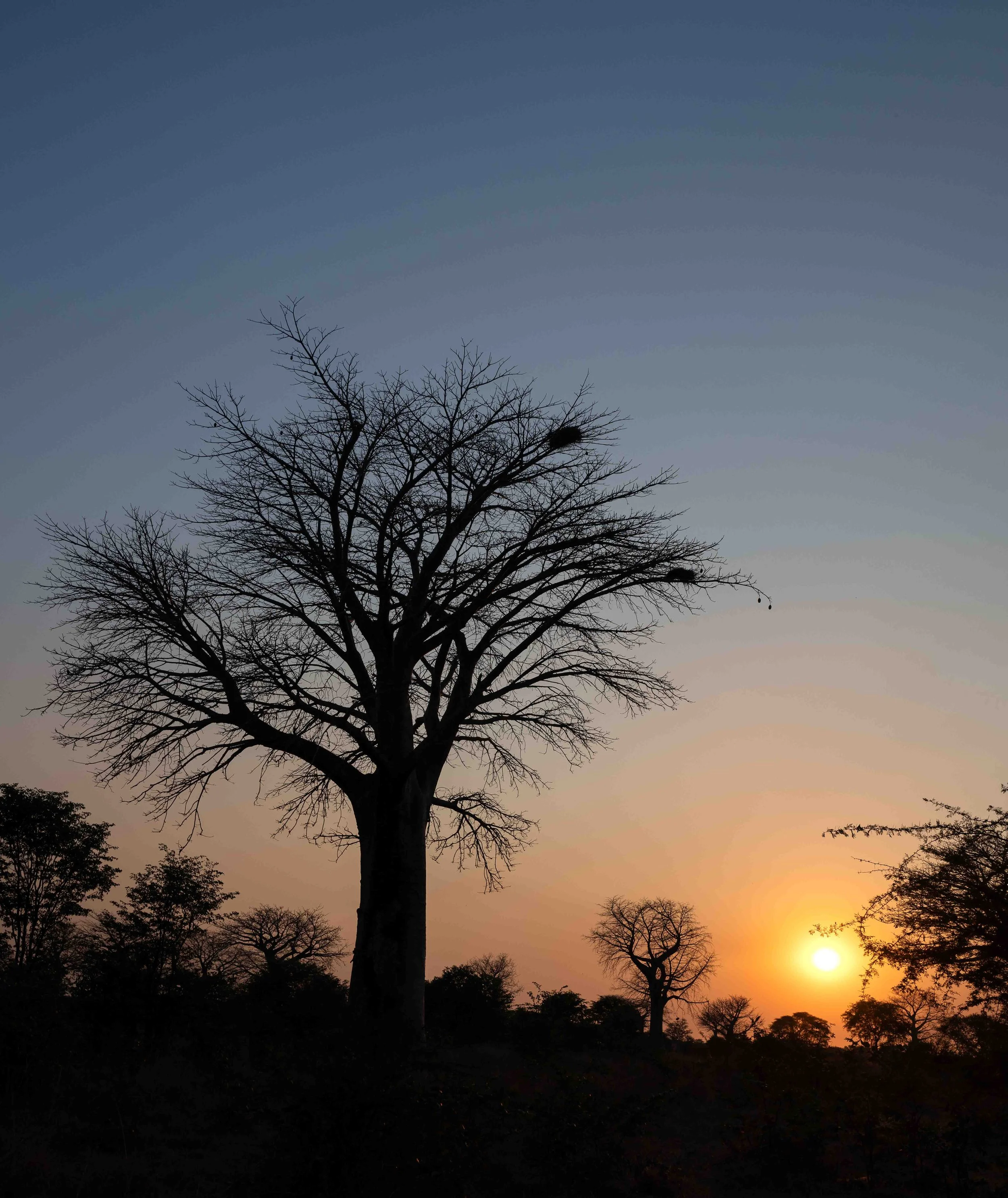 zambia - June 10 - IMG_00034.jpg