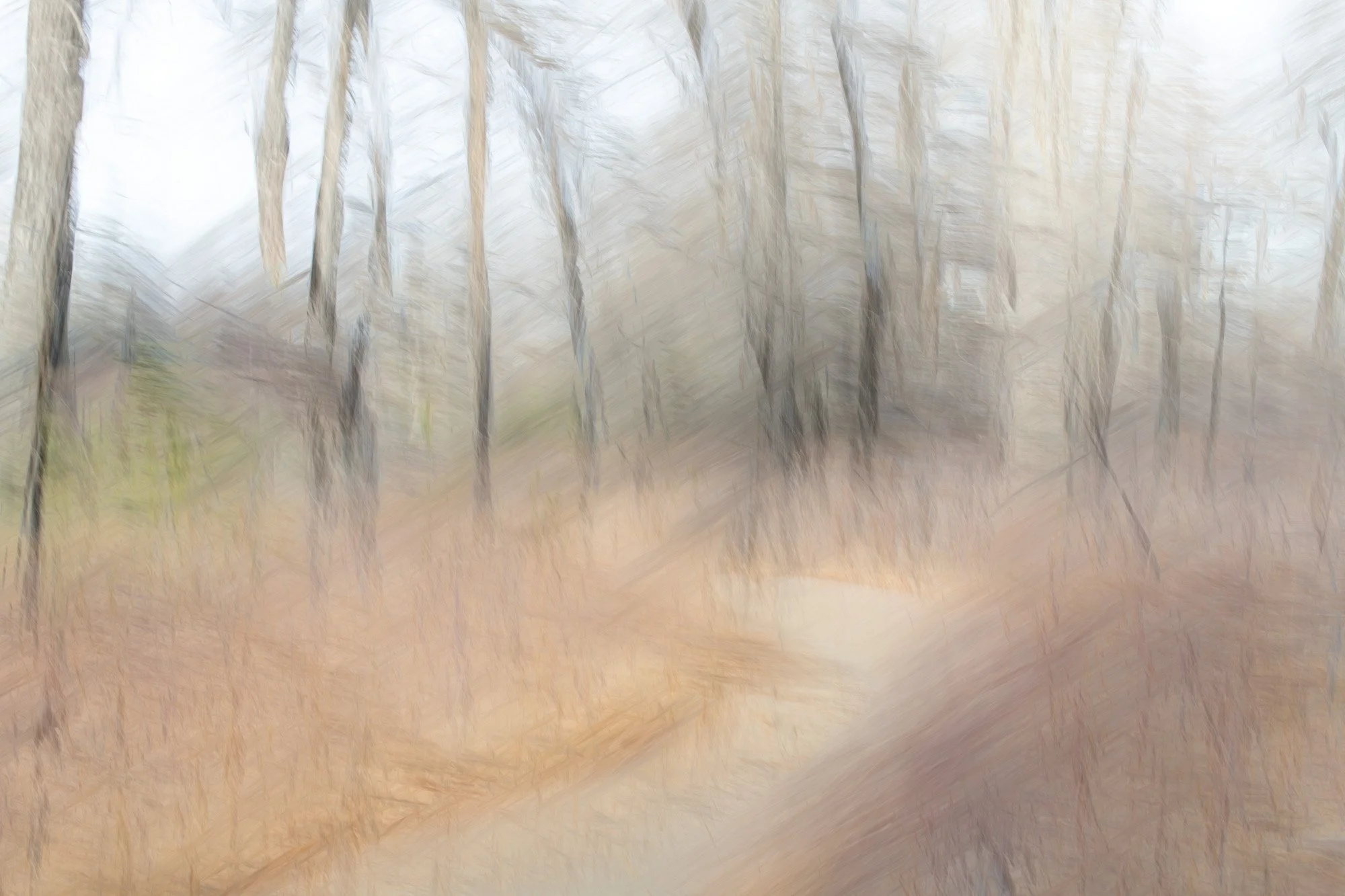 inglewood - November 08 - IMG_00008.jpg