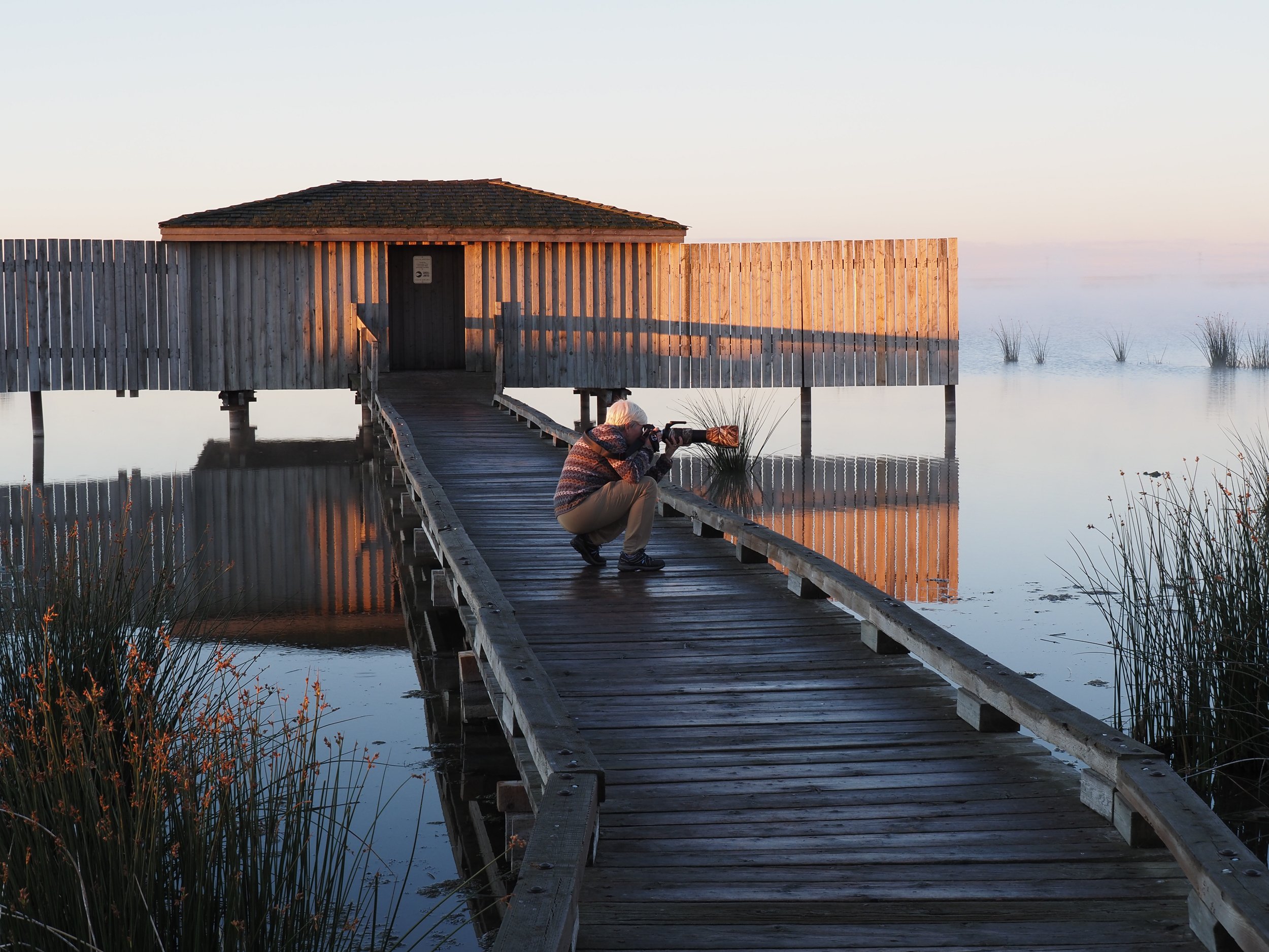 Photographing at Frank Lake bird sanctuary
