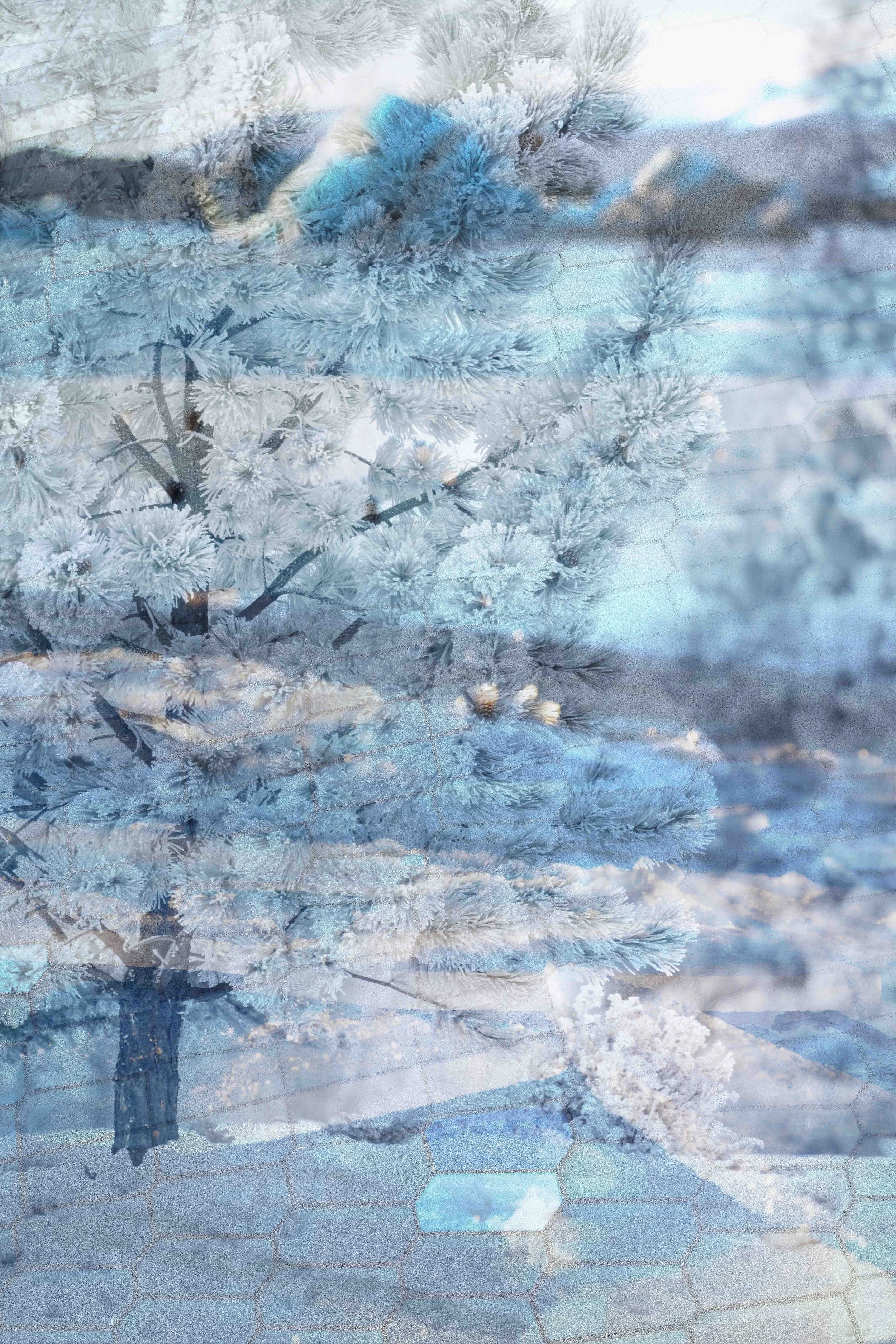 ME - January 05 - IMG_00002.jpg