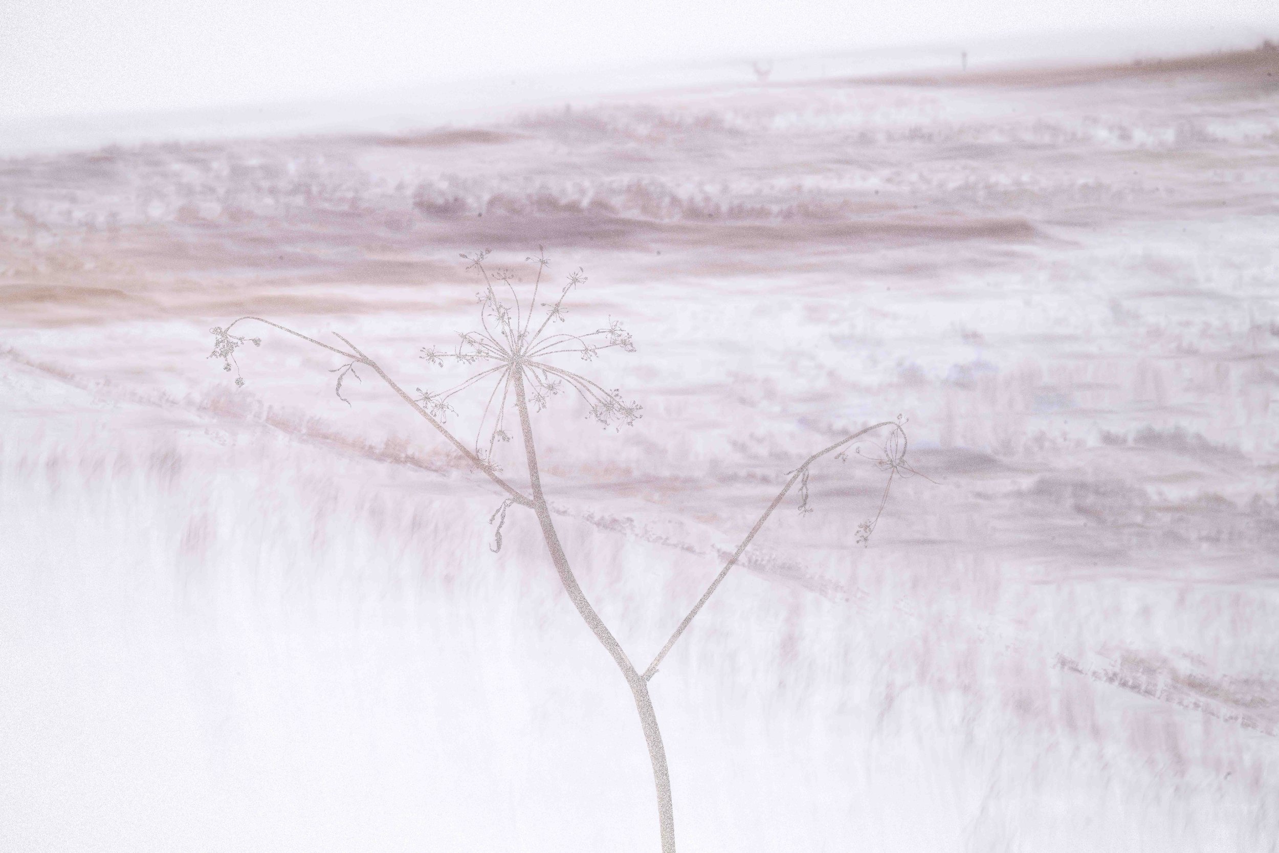 wildlife - December 24 - IMG_00003.jpg