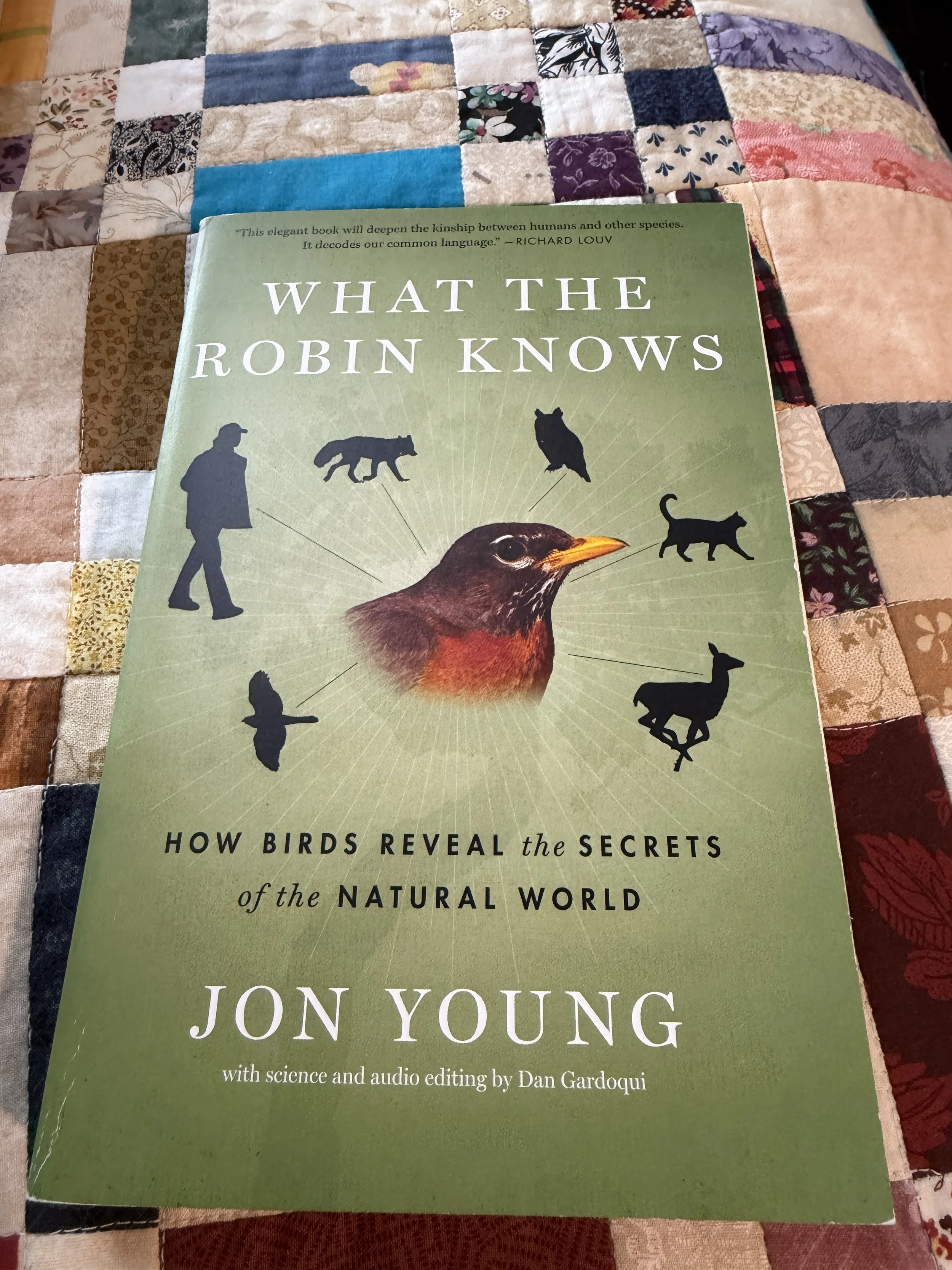 Cover of the book titled What the Robin Knows - Jon Young