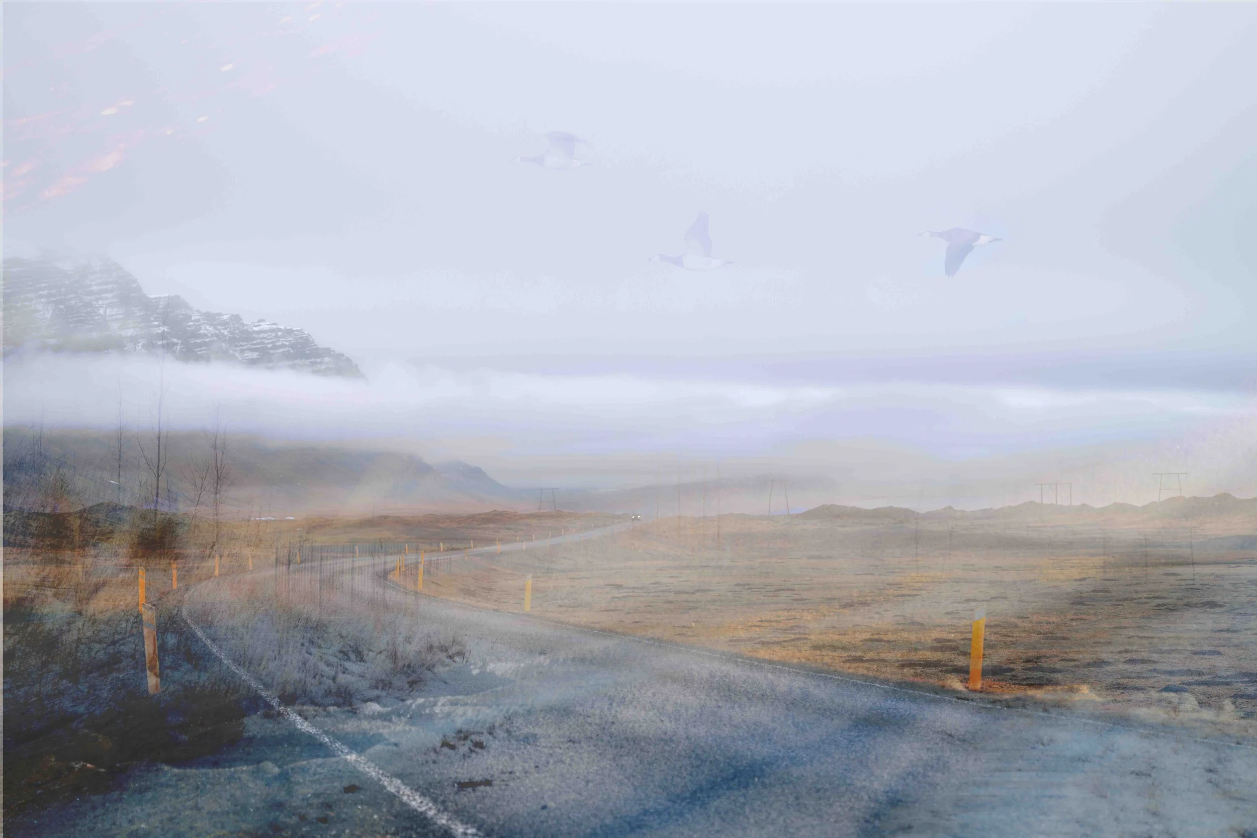 composite of 4 images merged in photoshop