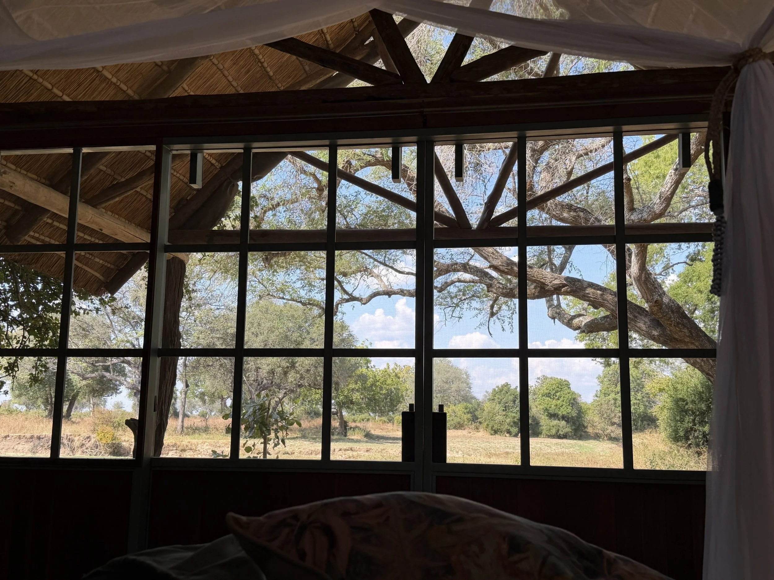 Mwamba Bush Camp, Zambia