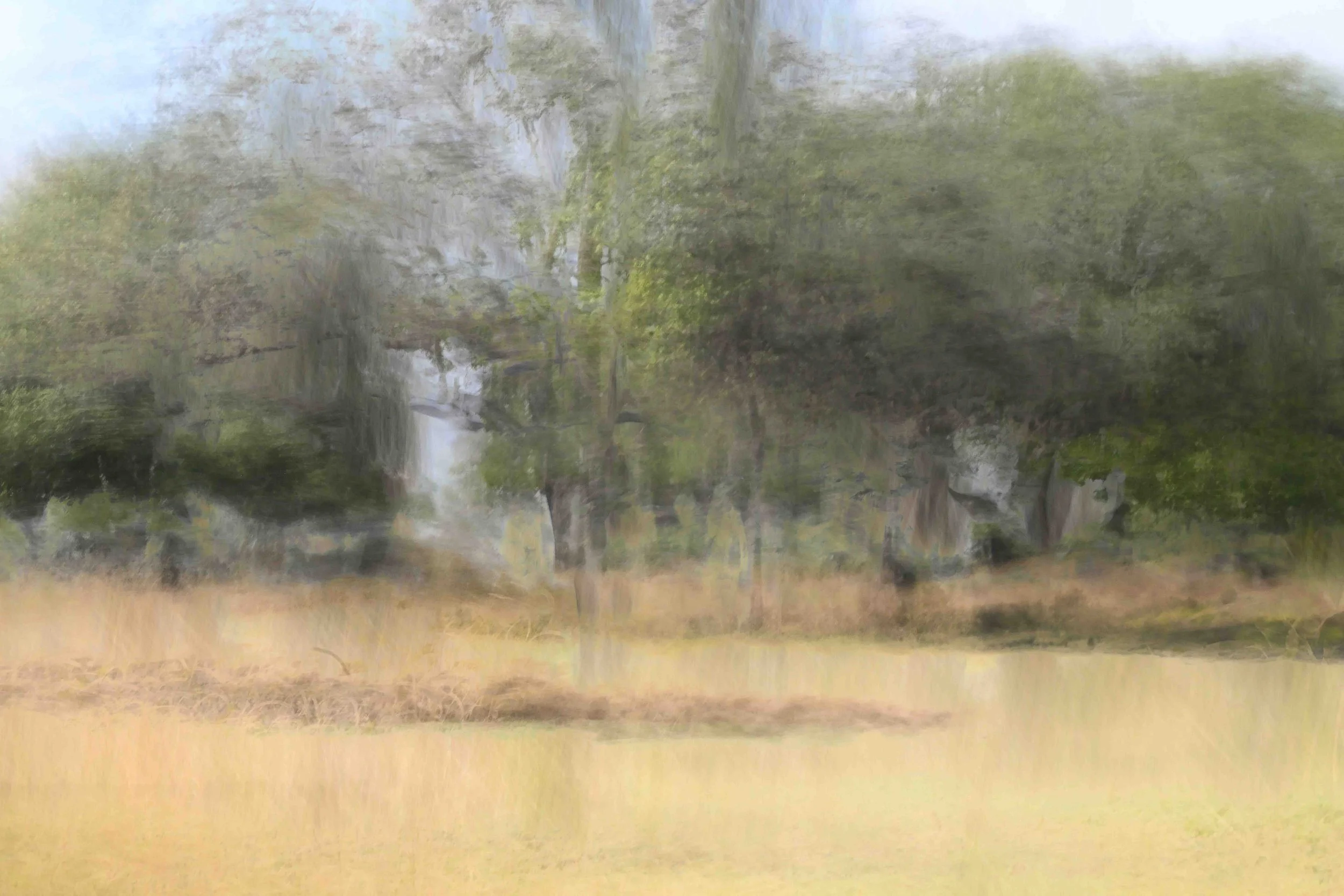 Zambia - Creative Photography