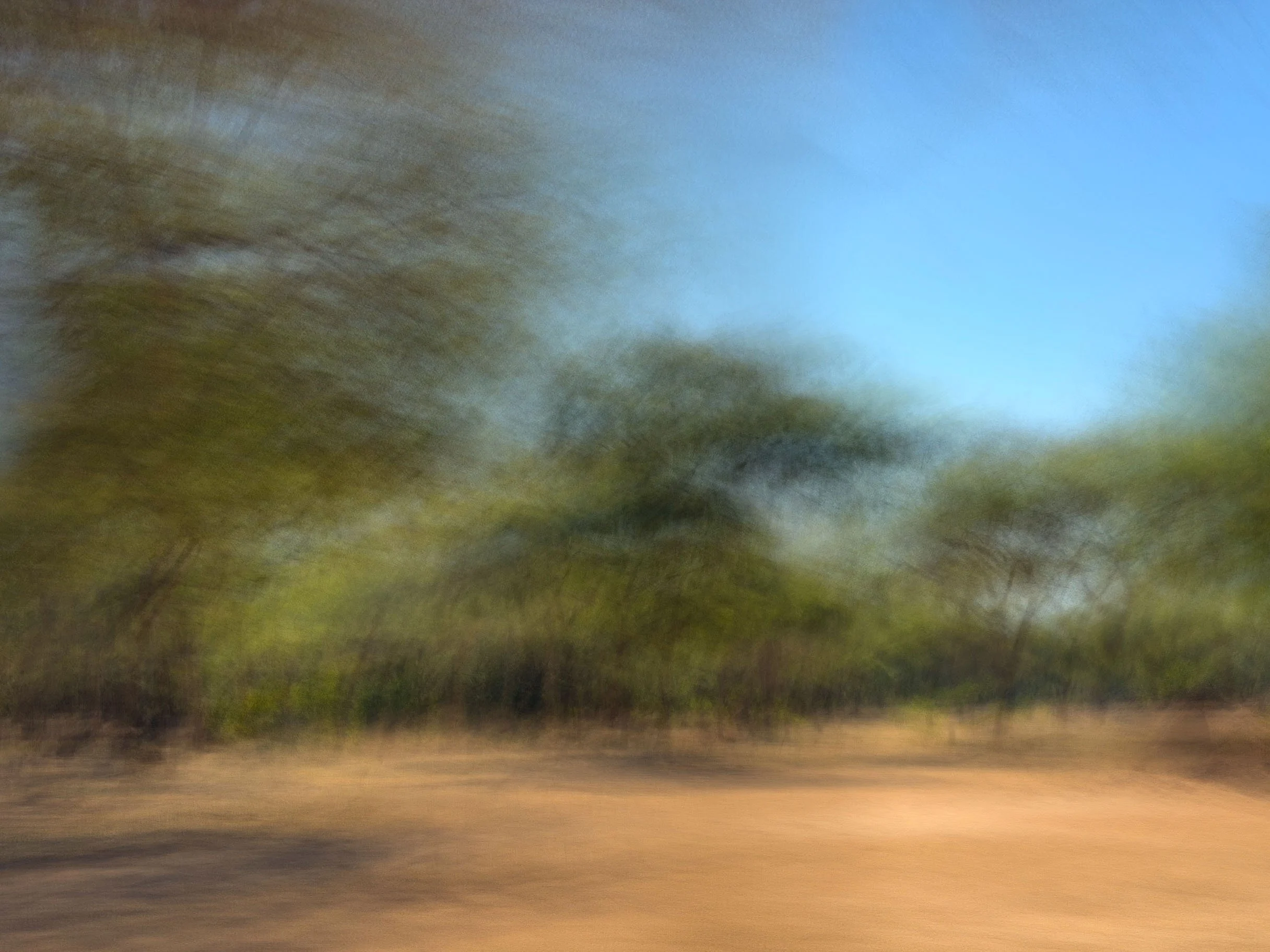 zambia - June 13 - IMG_00001.jpg