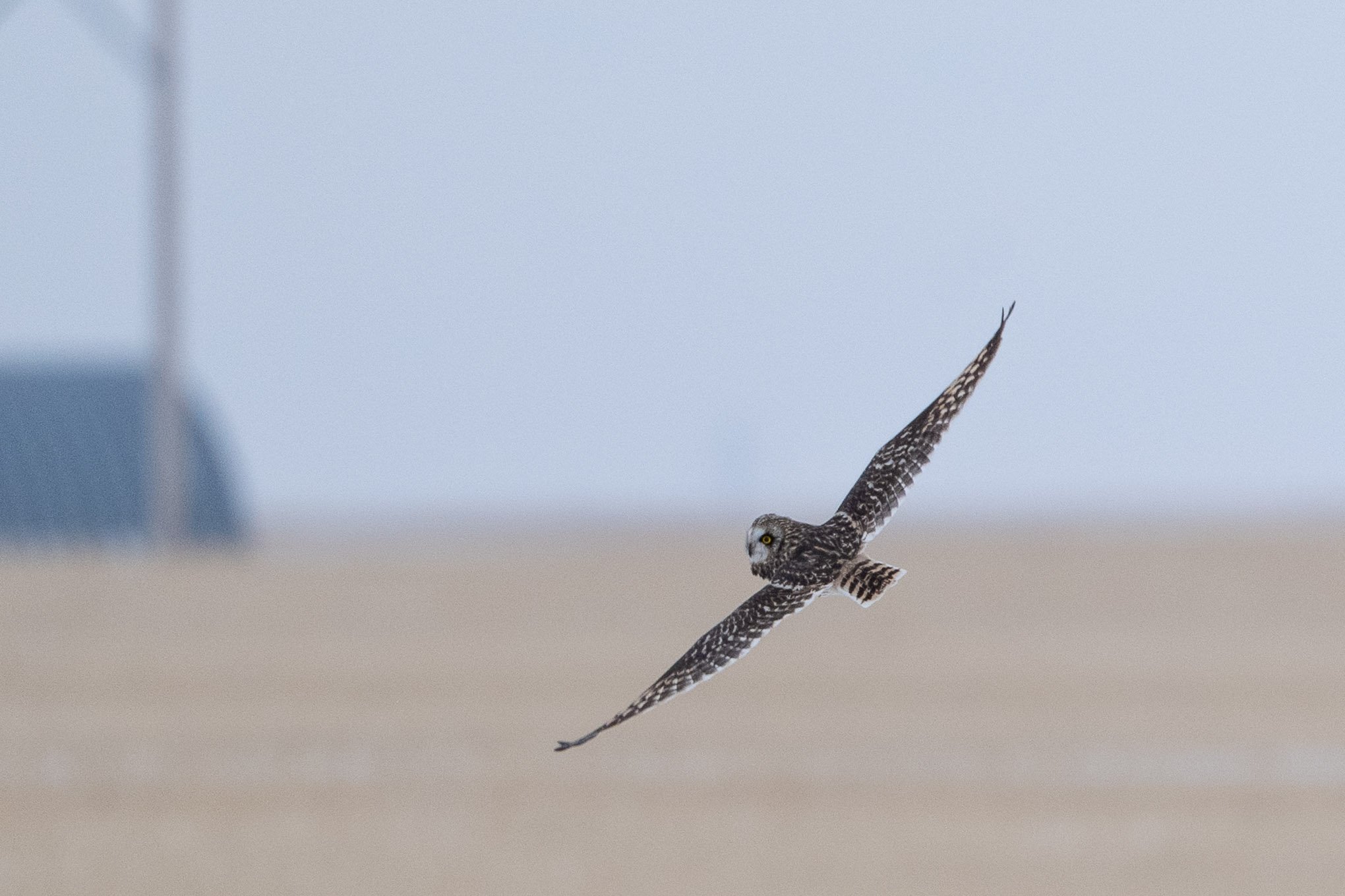 ME ICM - December 14 - IMG_00001-7.jpg