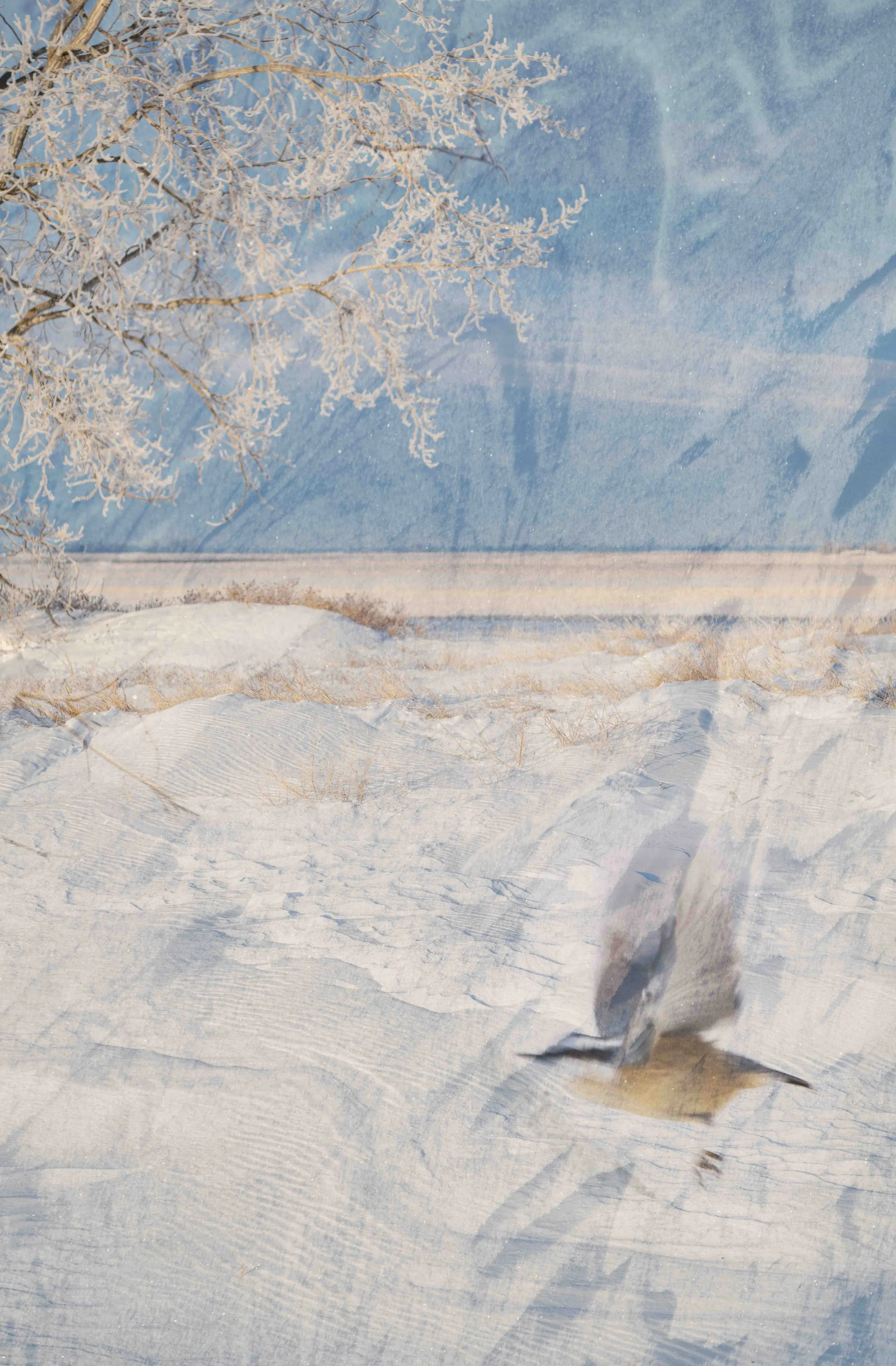 ME - January 10 - IMG_00001.jpg