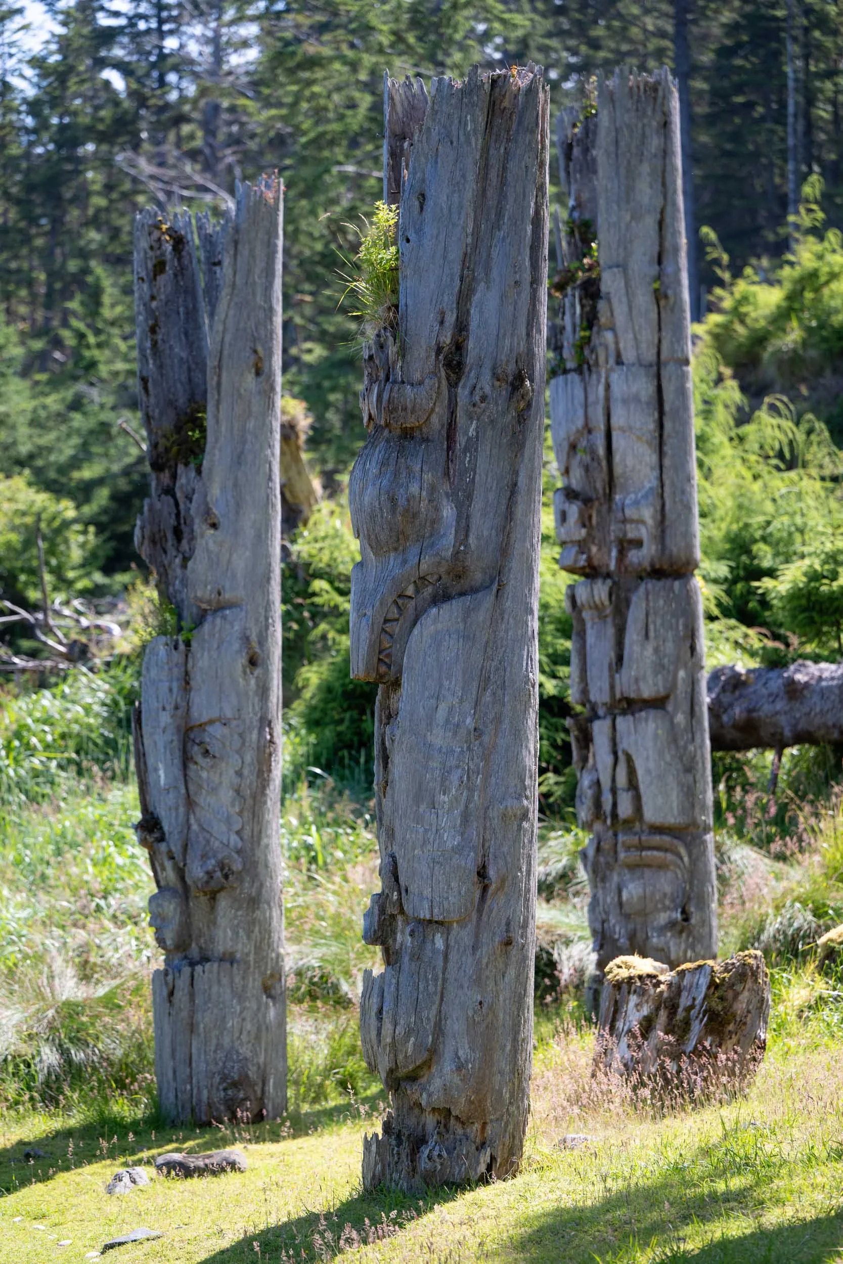 Haida totem poles.