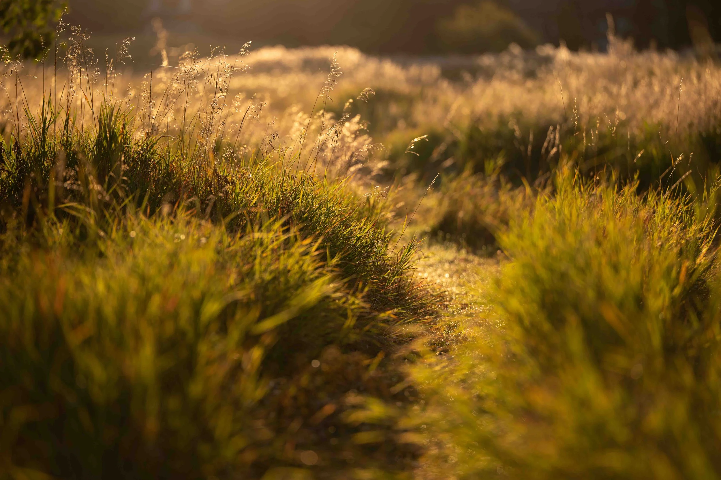 liminal space - moving from grey funk to the light?