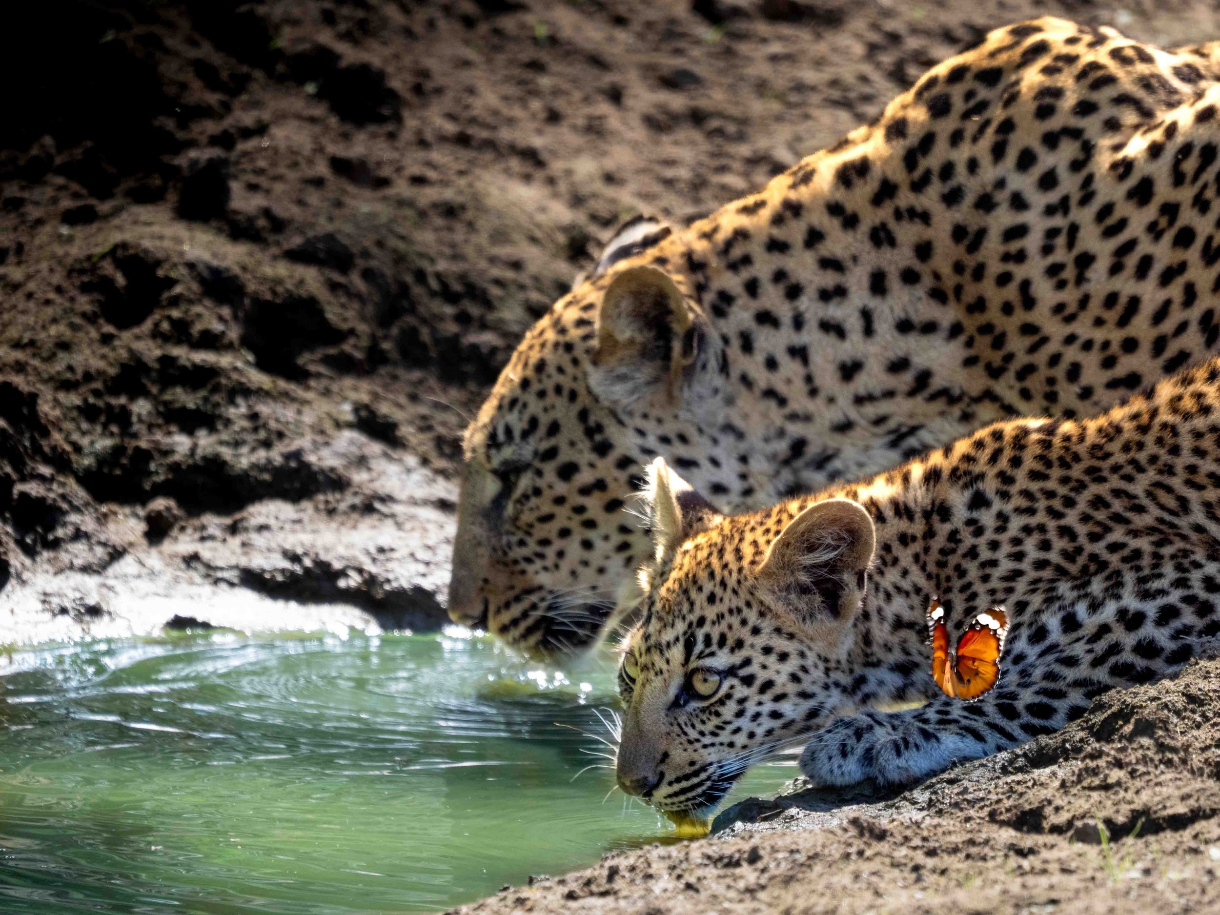 zambia - June 15 - IMG_00023.jpg
