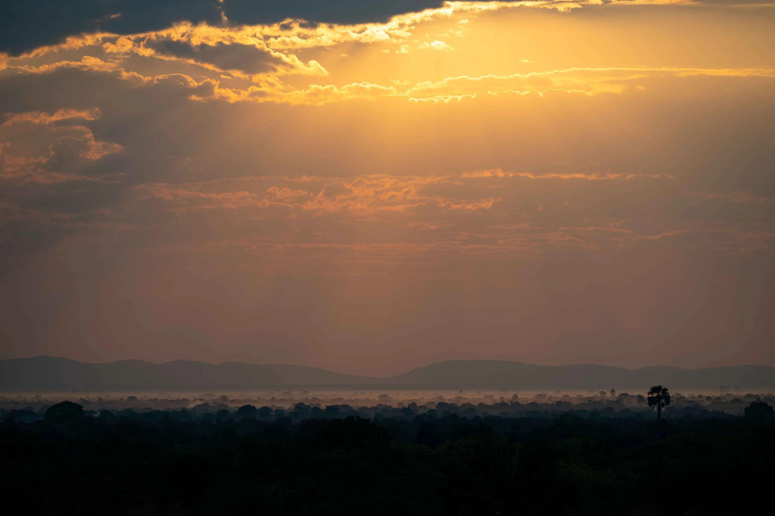 South Luangwa - Mwamba Camp
