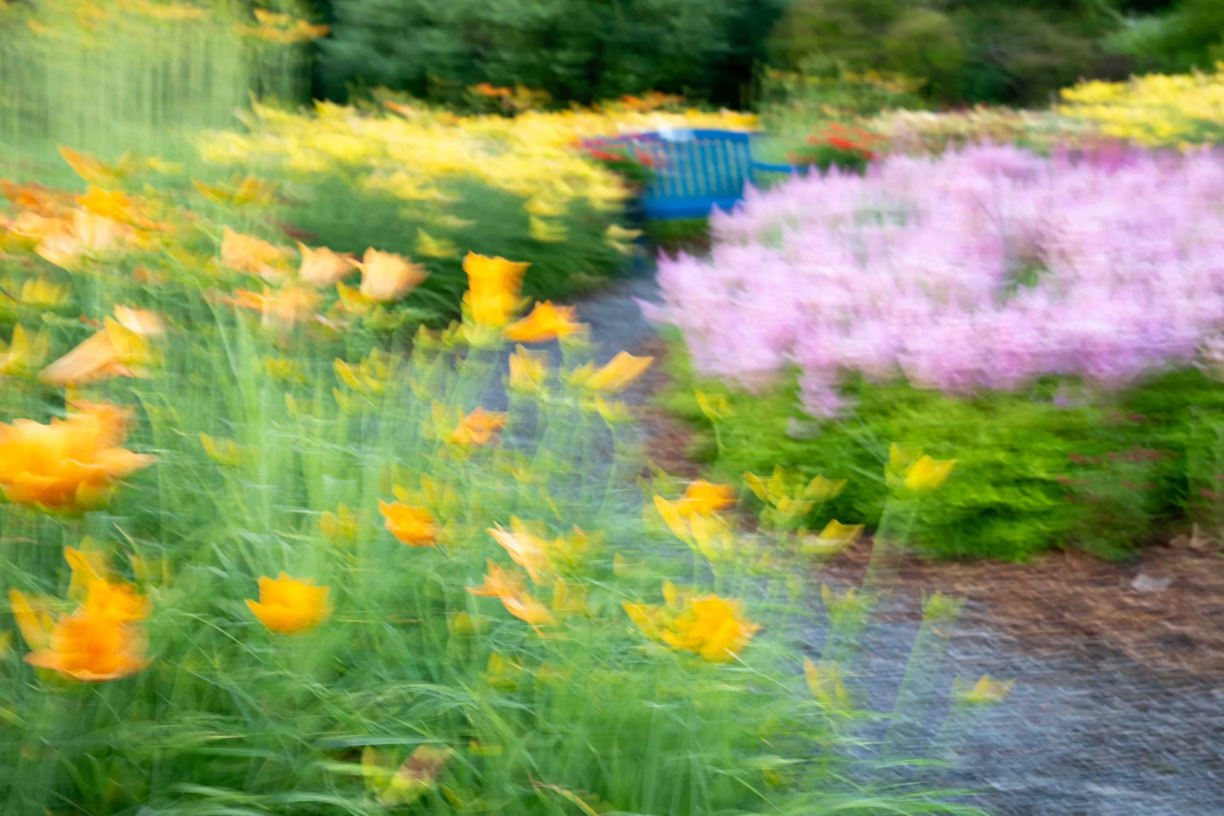 ICM of Kingsbrae Gardens
