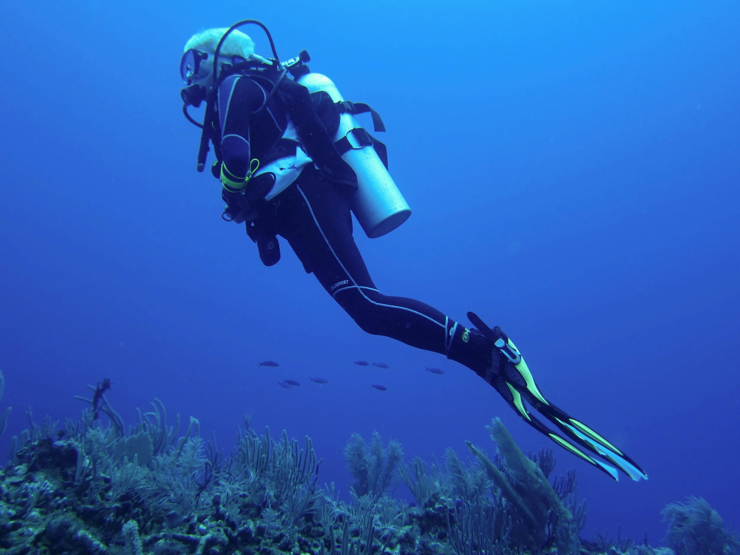 scuba diving in Akumal Mexico