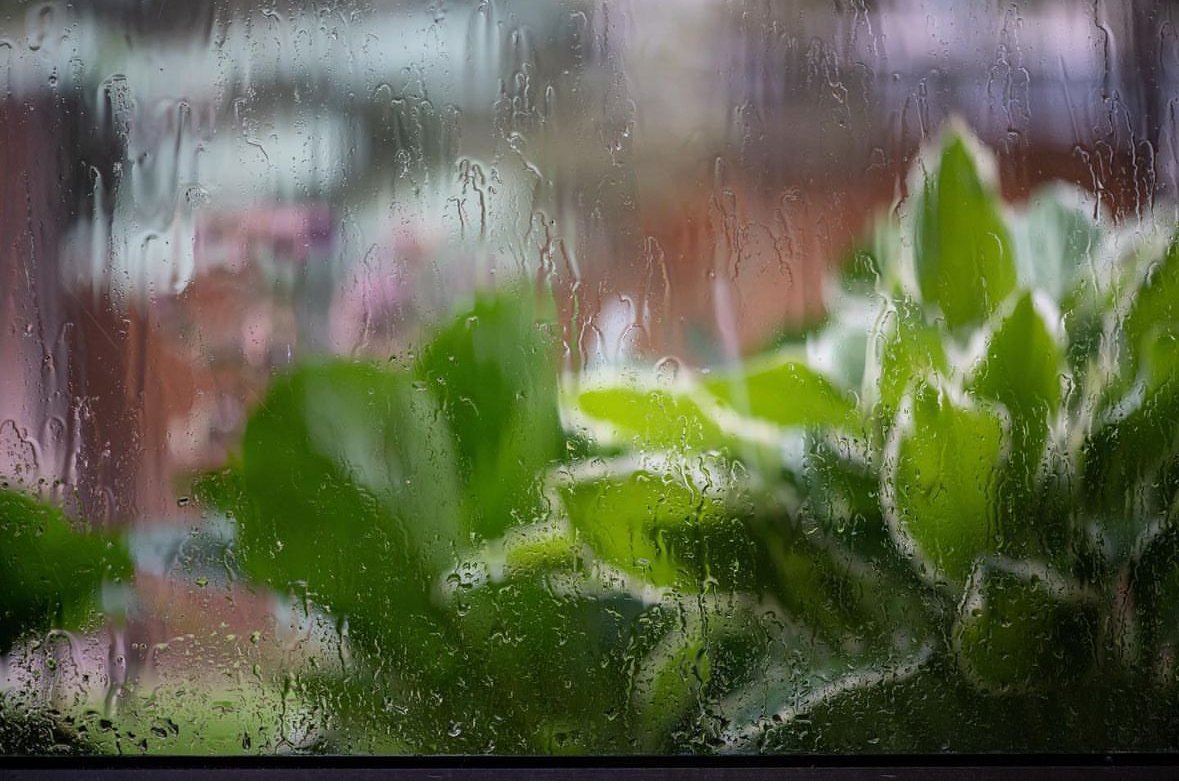 Rainy day view