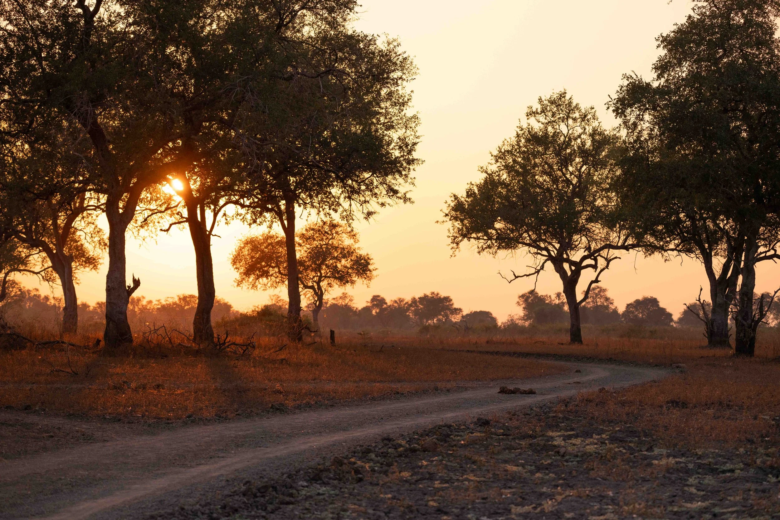 zambia - June 08 - IMG_00009.jpg