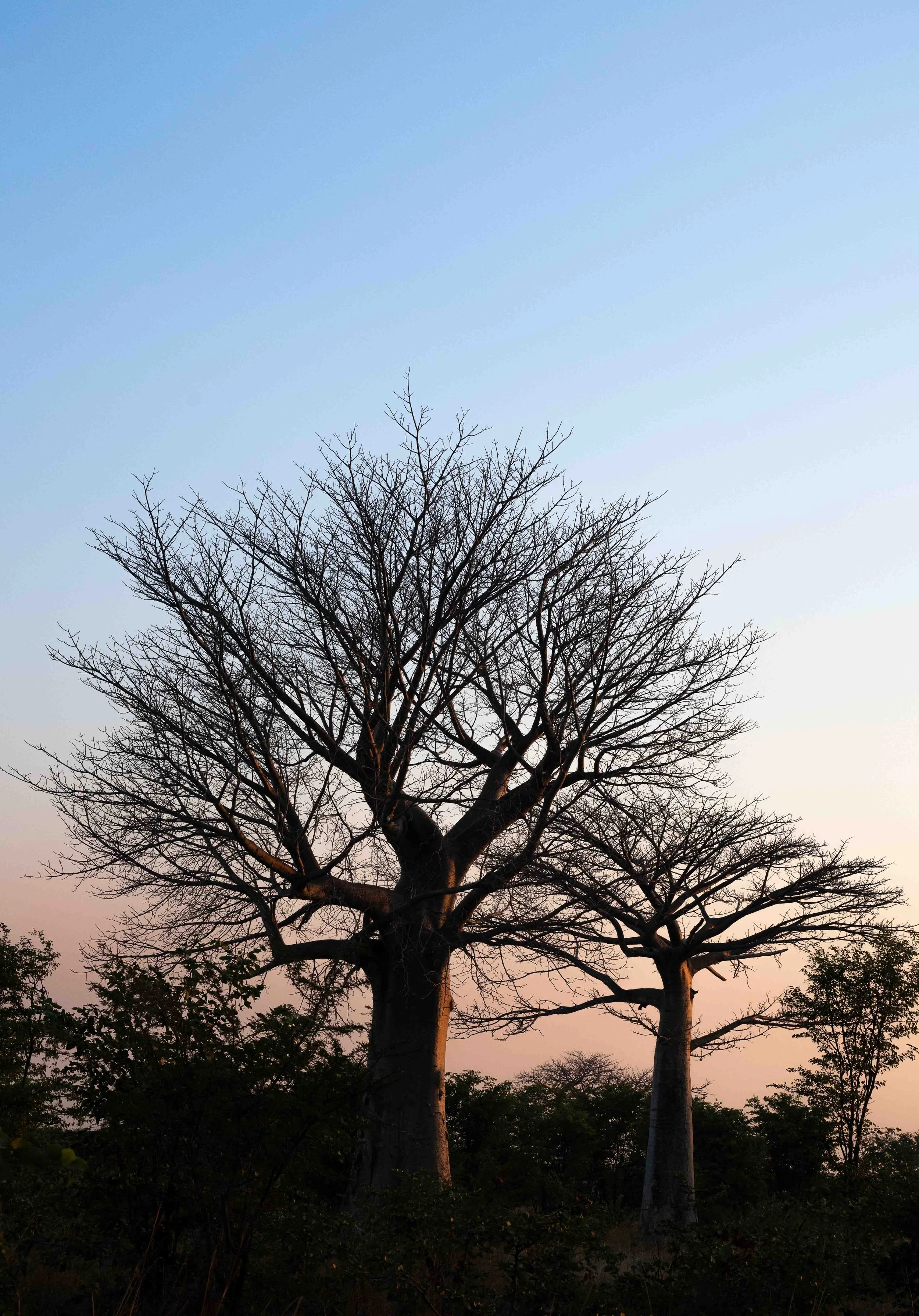 zambia - June 10 - IMG_00030.jpg