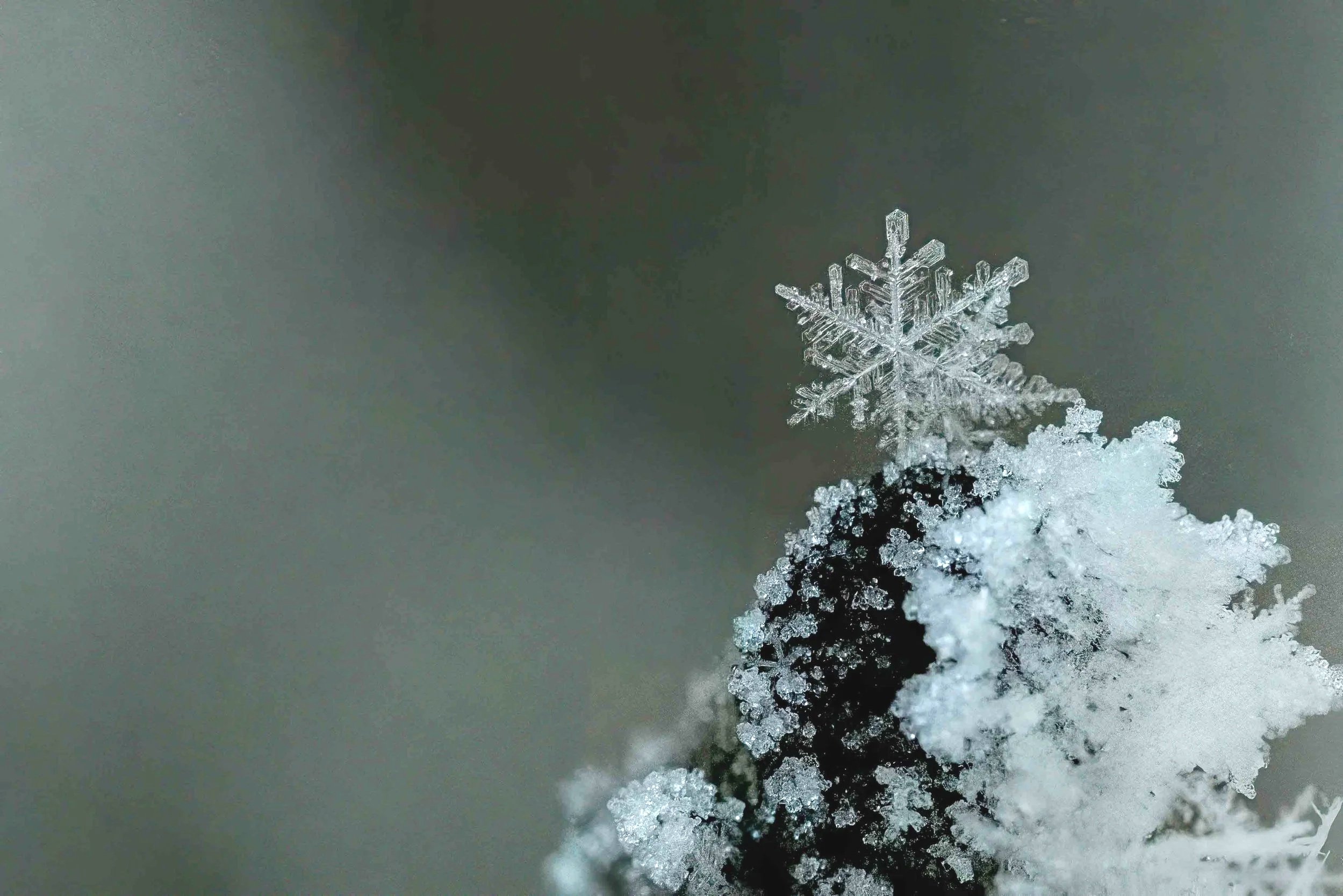ice crystals photographed with a macro lens