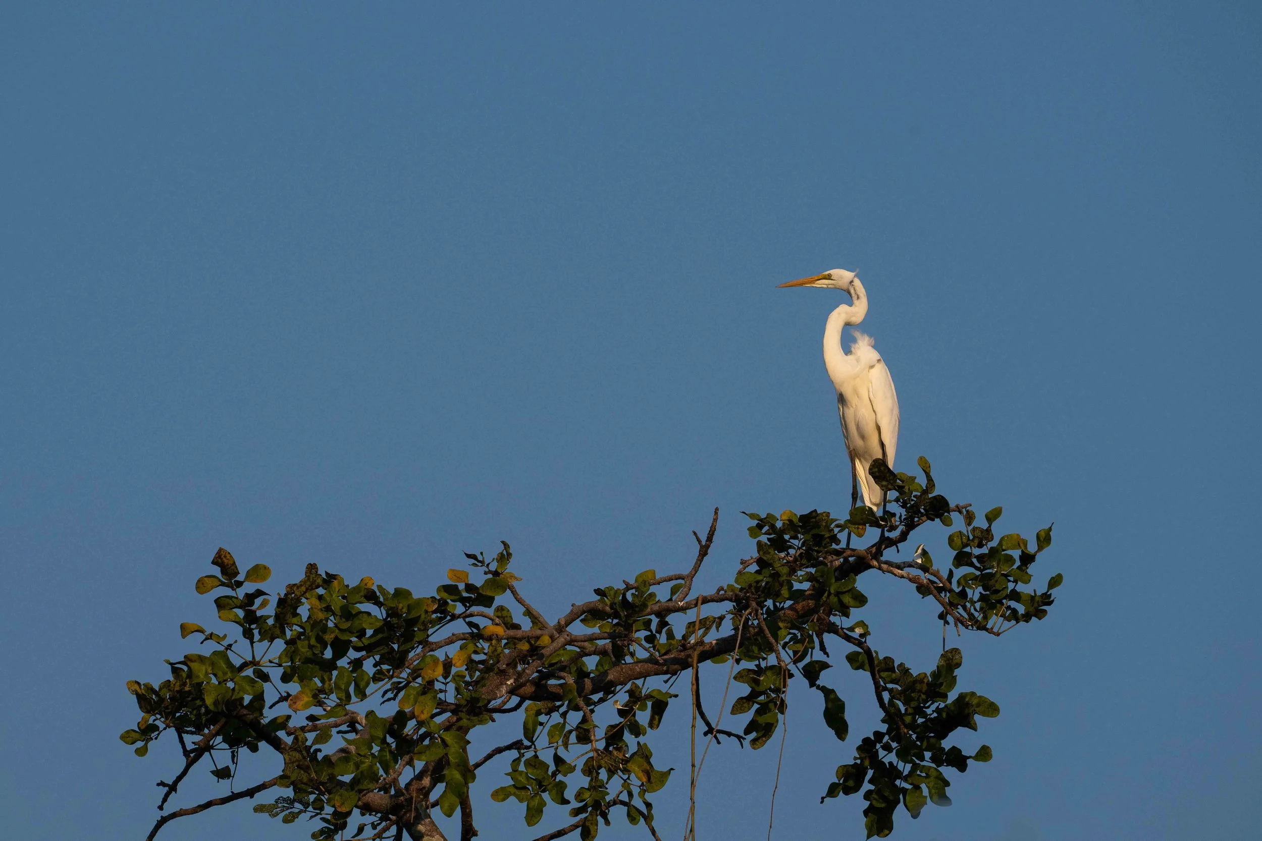 zambia - June 08 - IMG_00020.jpg