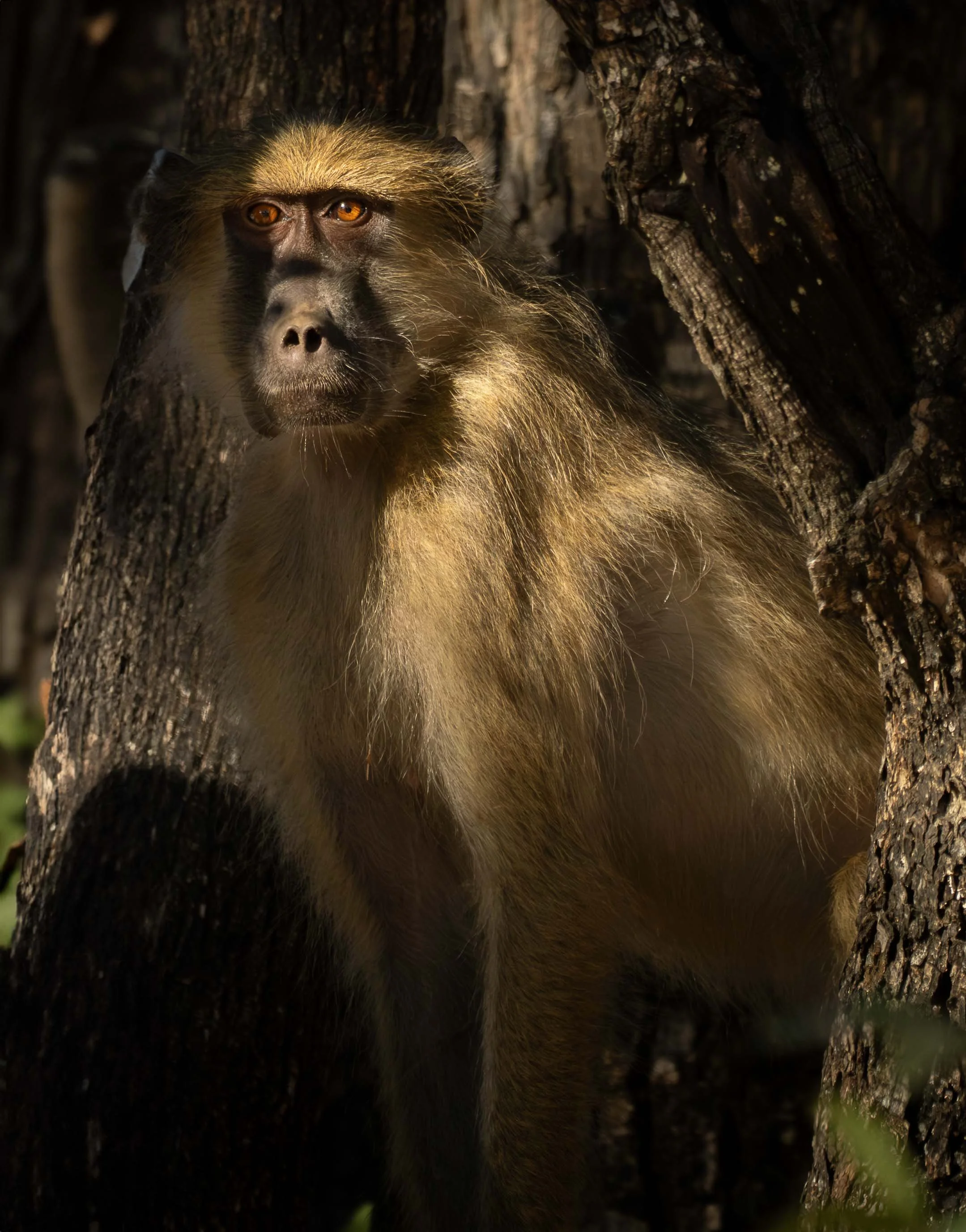 zambia - June 12 - IMG_00046.jpg