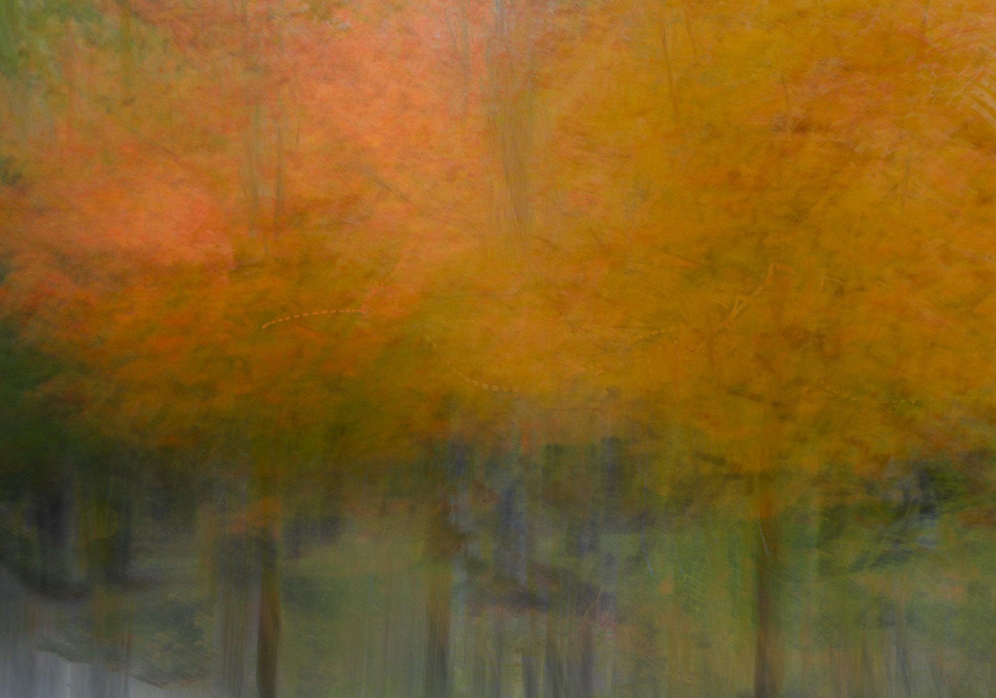 Jouvence Quebec - Autumn Colours