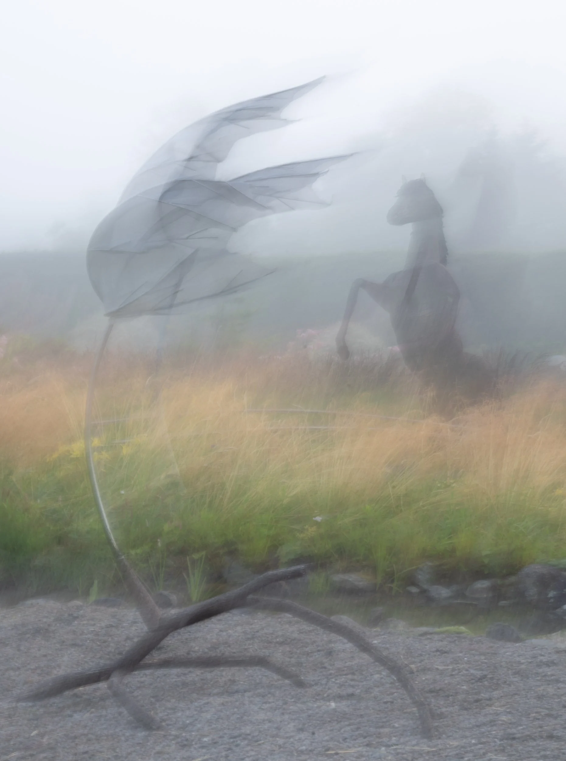 Soft motion portrayed in the ICM (intentional camera movement) image