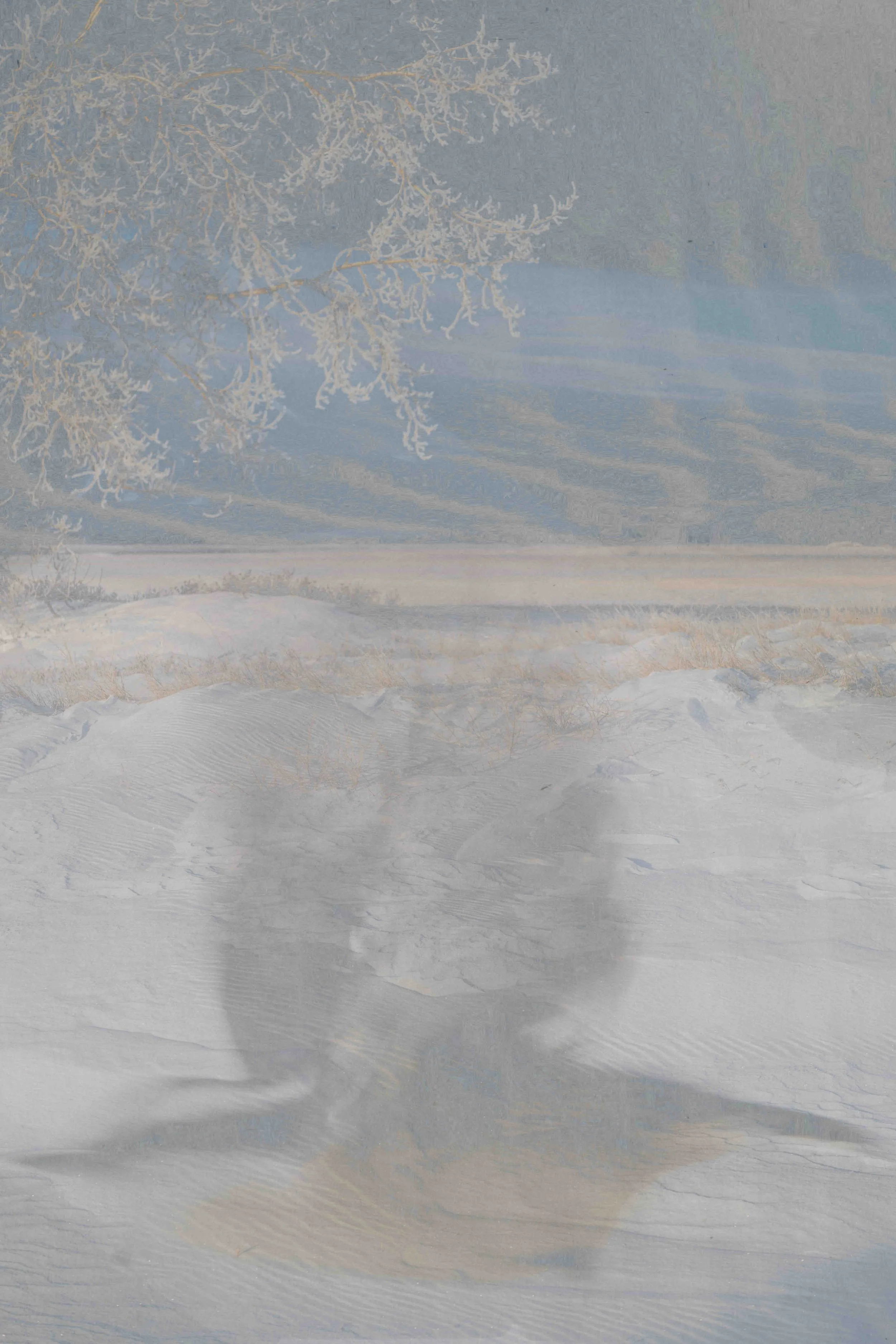 ME ICM - January 10 - IMG_00001.jpg