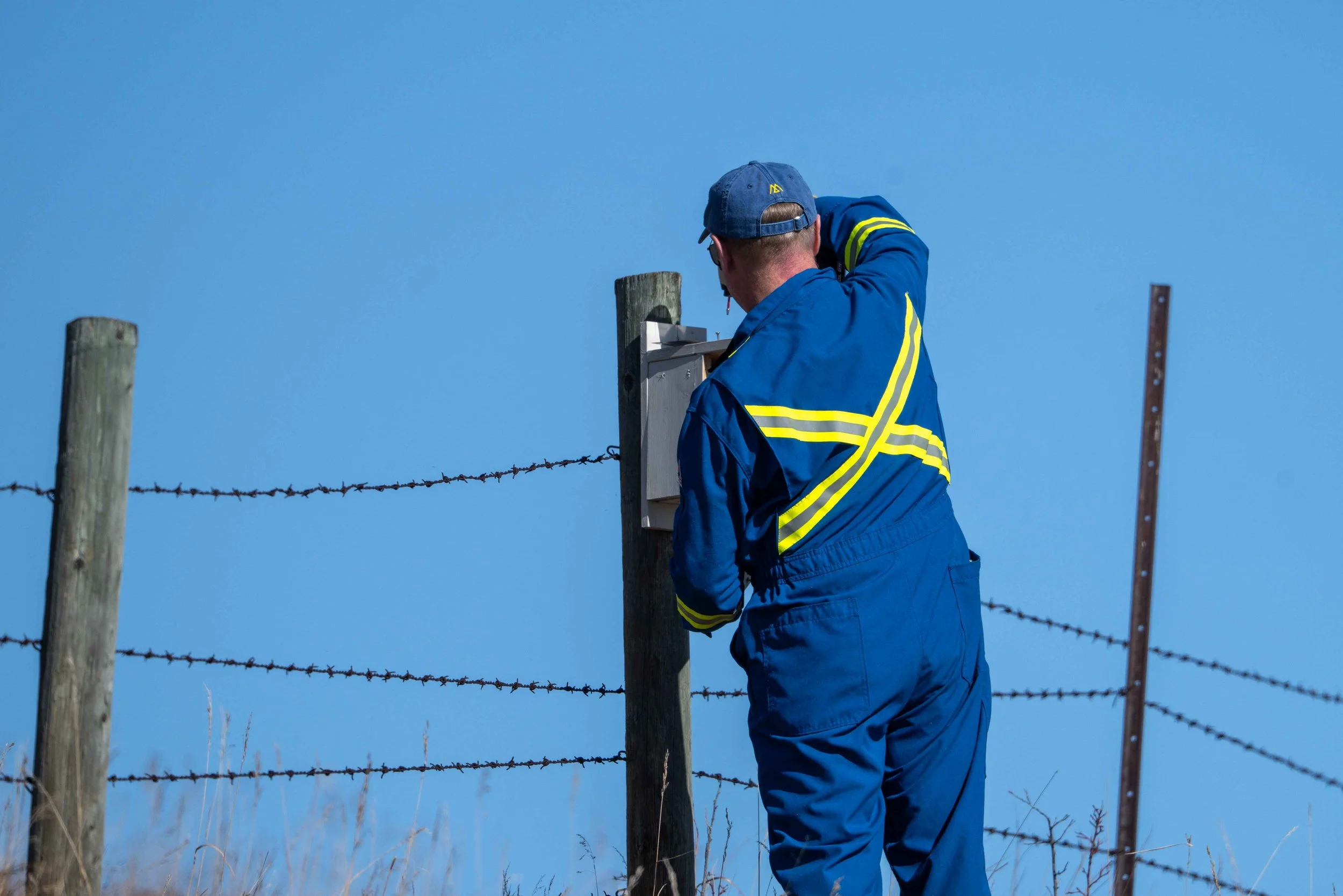 Nestbox repairs and clean out