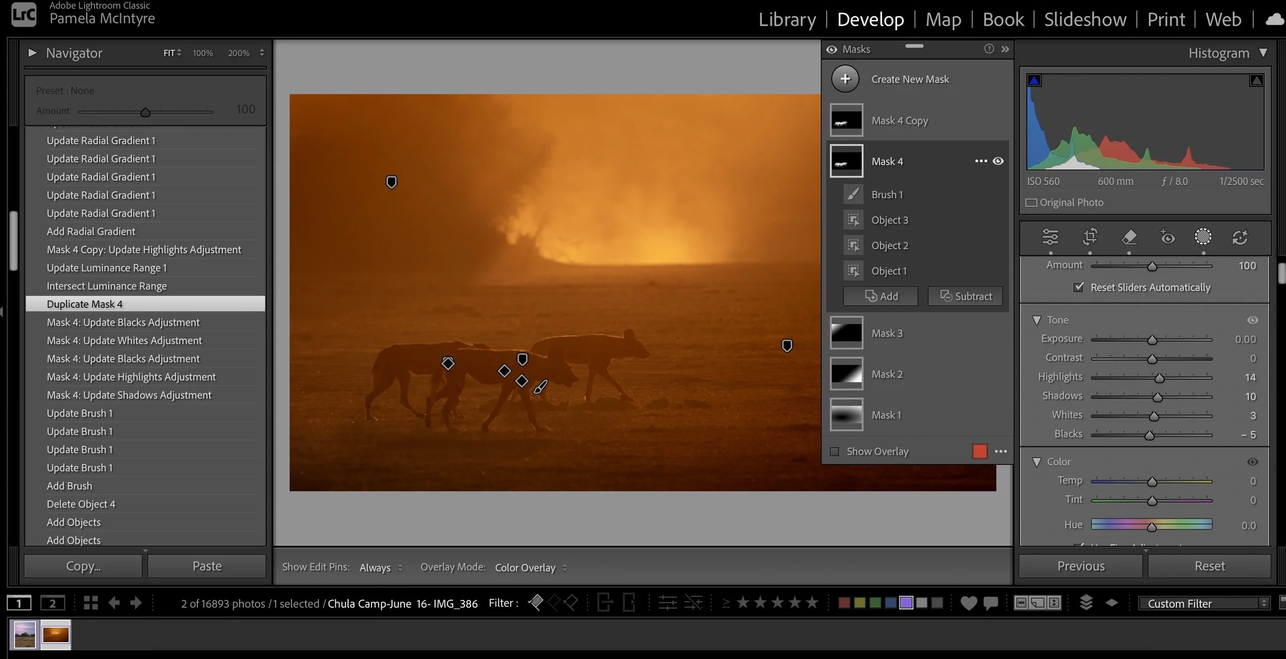 Mask 4 - object mask in light room to bring out the rim lighting on the wild dogs.