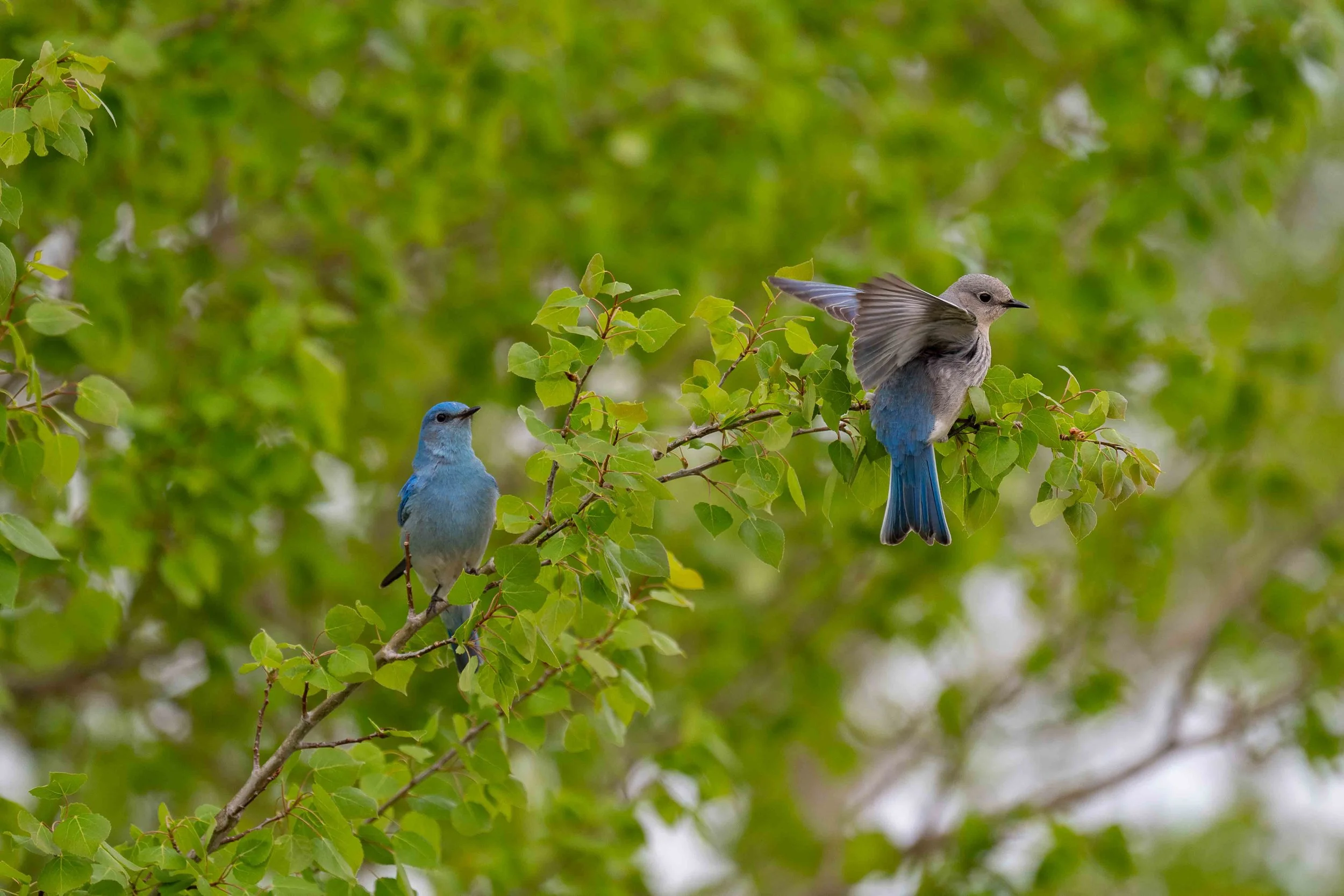 Male and female