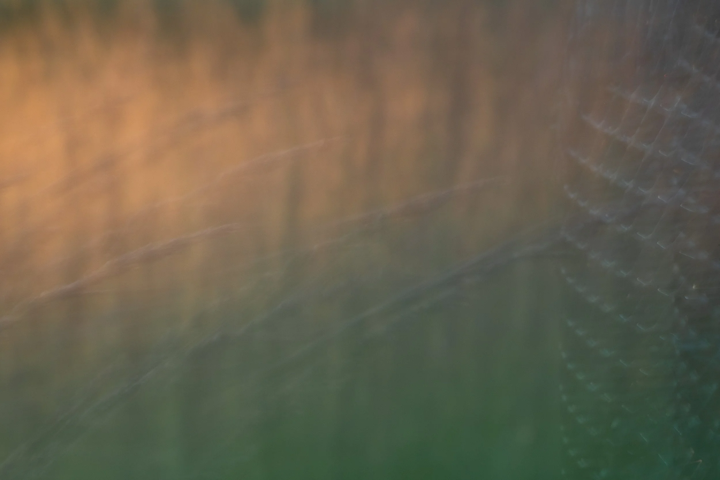 Abstraction image of a sculpture at Kingsbrae Gardens