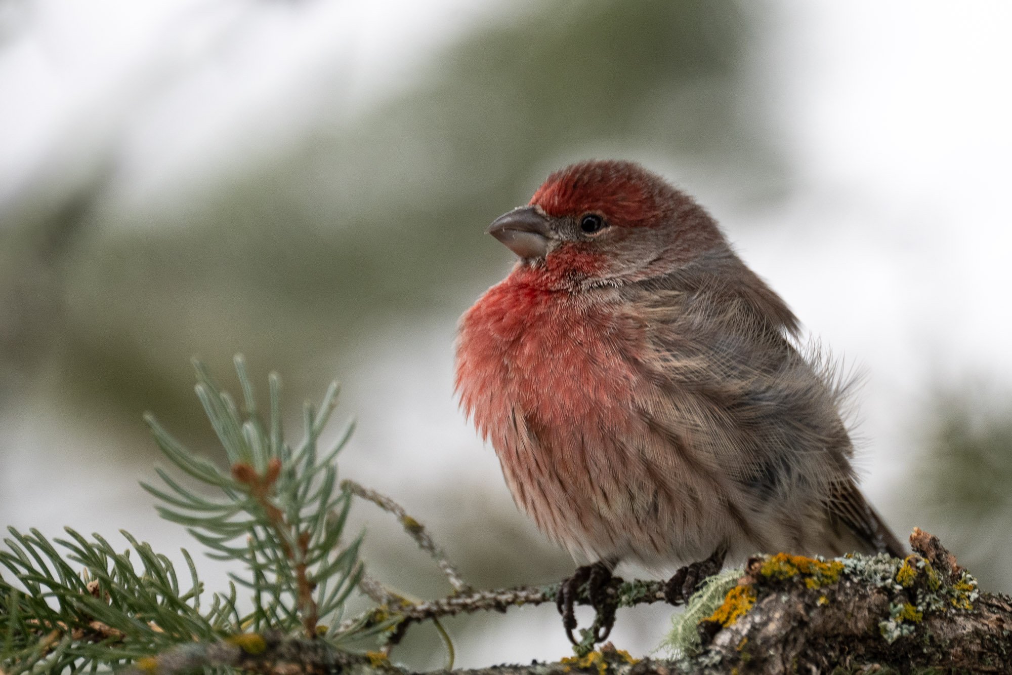 untitled - December 05 - IMG_00002.jpg