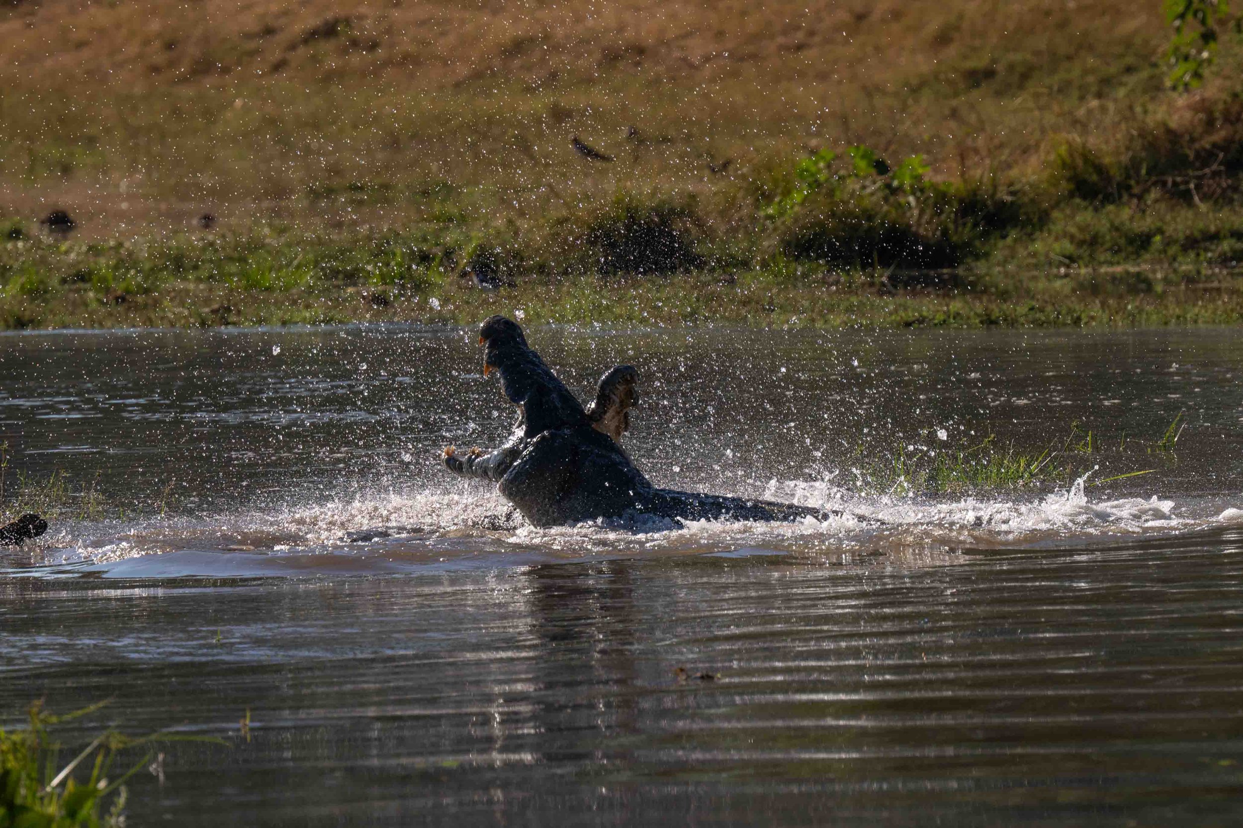 zambia - June 12 - IMG_00010.jpg
