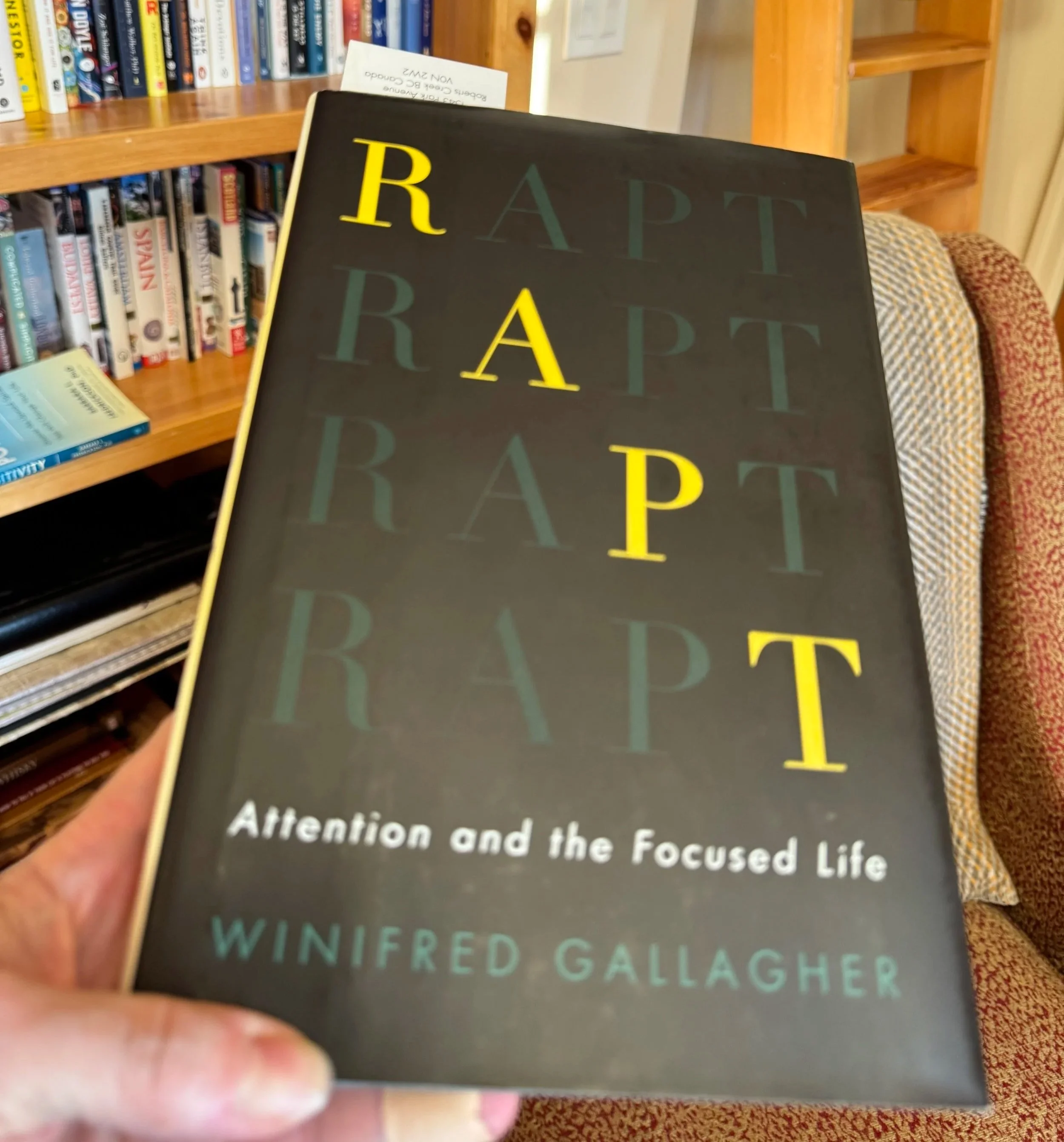 A book titled Rapt - Winifred Gallagher