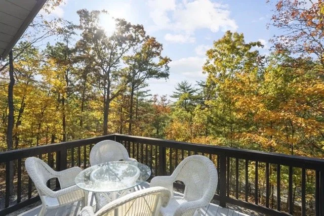 SC+-+DSC07441 Medium.jpeg