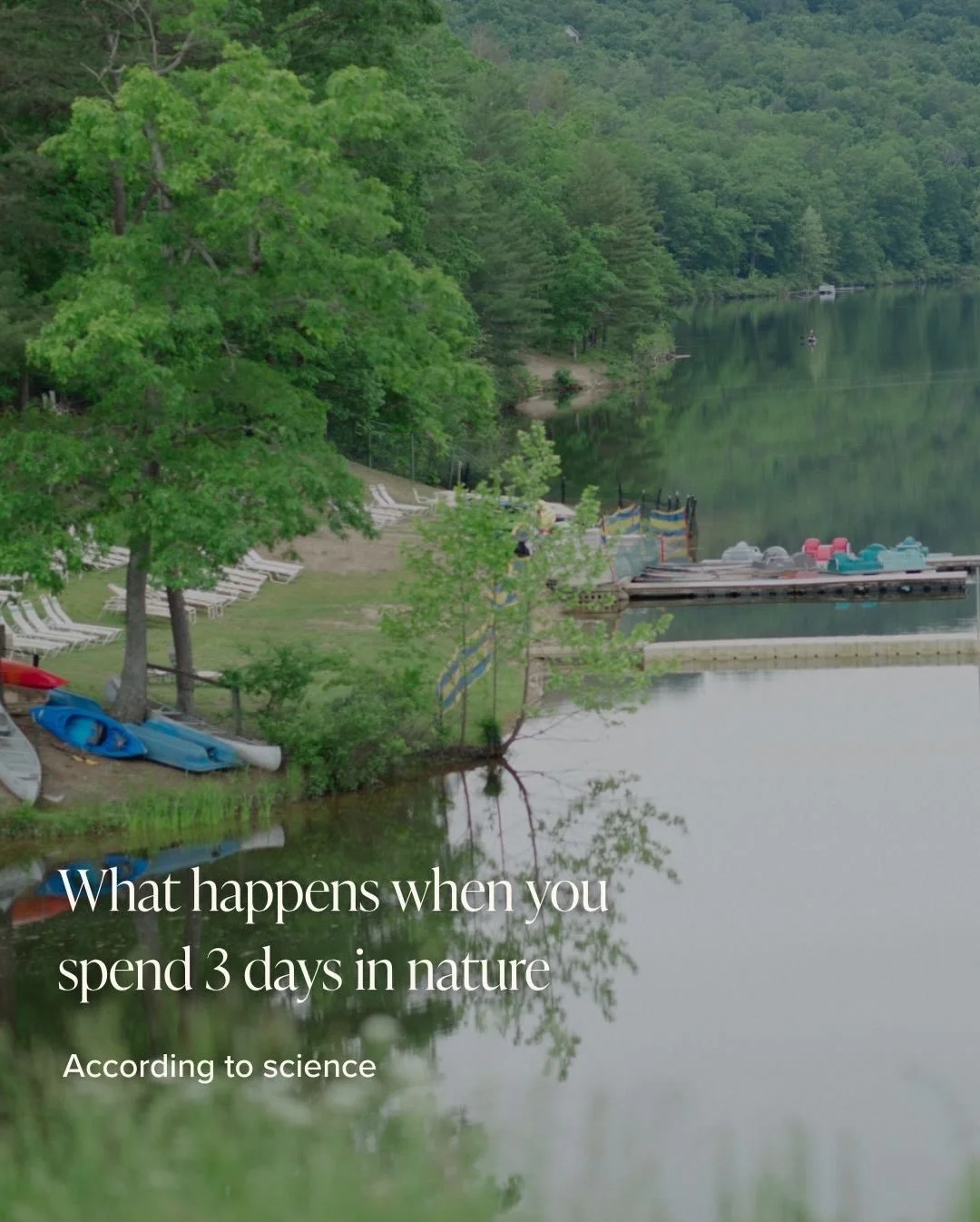 You&rsquo;re not stuck or unmotivated. Maybe your mind is just overstimulated. 

Nature has a way of bringing you back to clarity. 

#simplycozygetaways #visitshenandoahcounty #dcgetawayweekend #cabinweekend #mountainescape